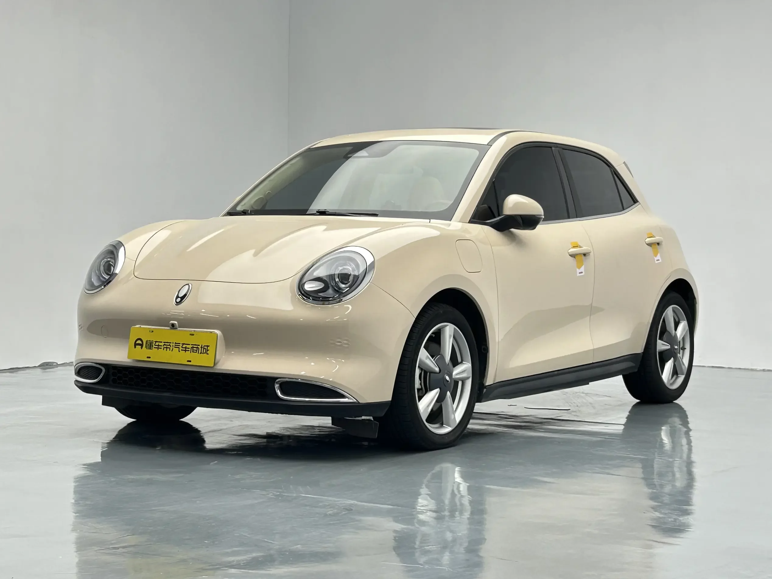 ORA Euler good cat