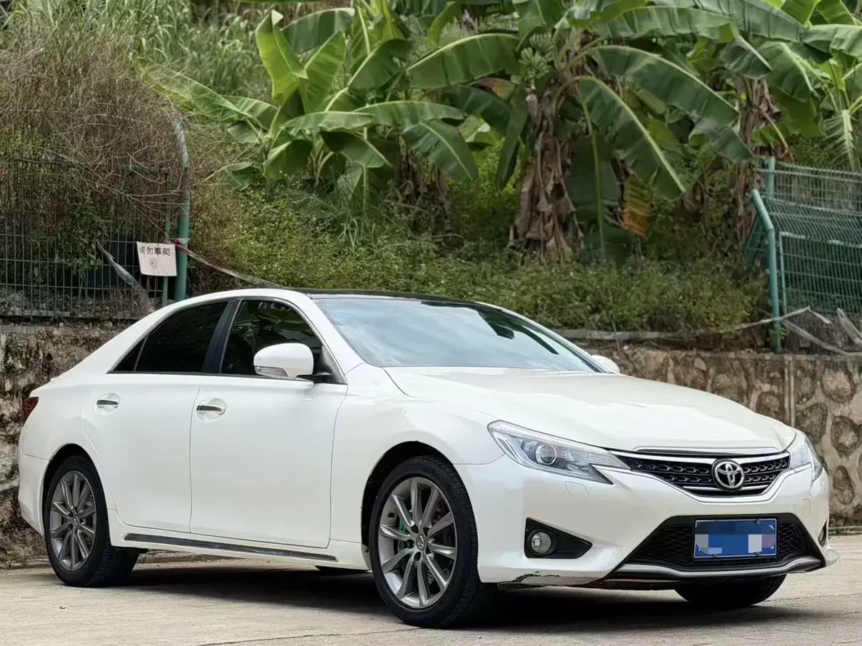 Toyota Ruizhi