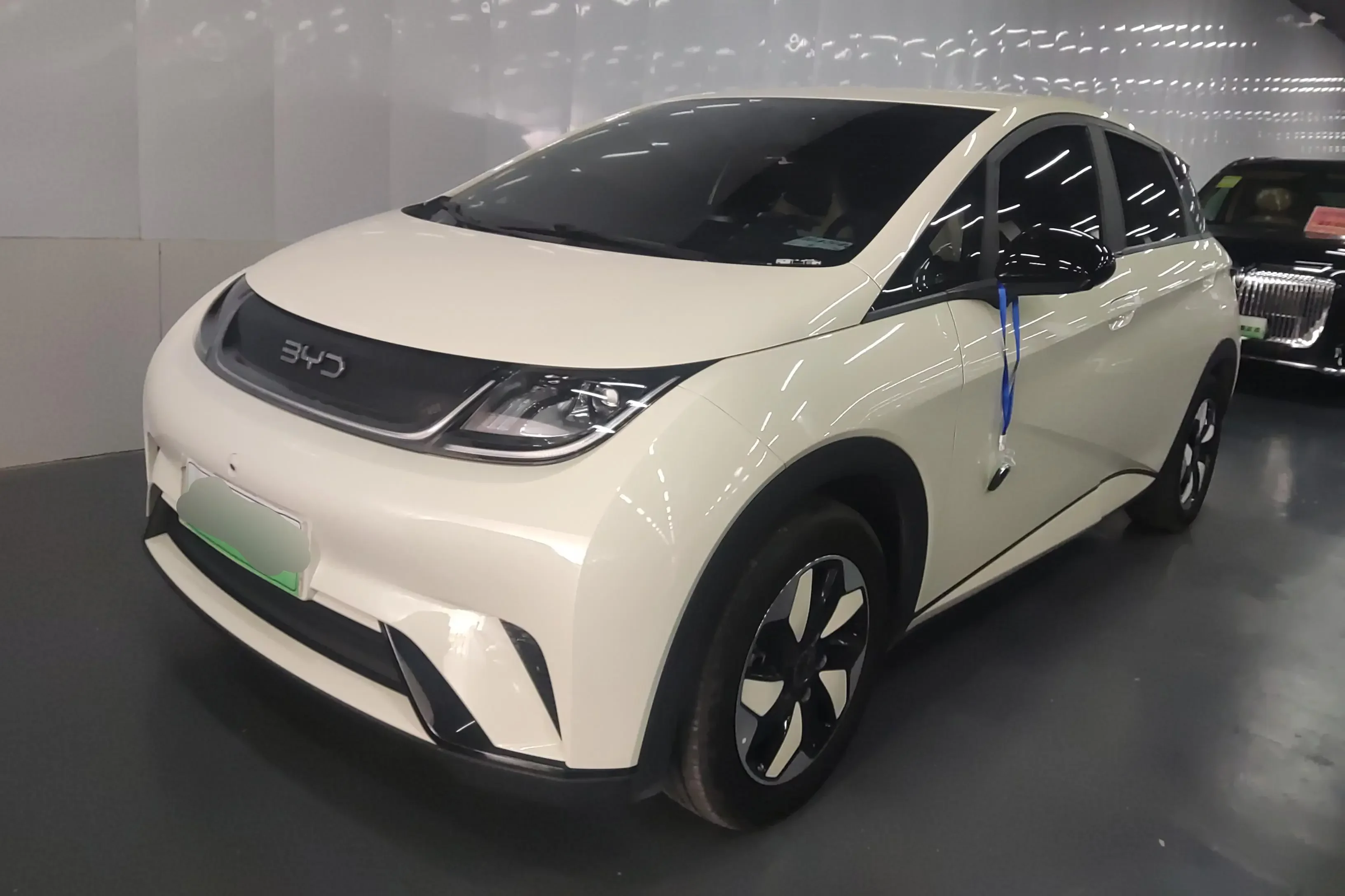BYD dolphin