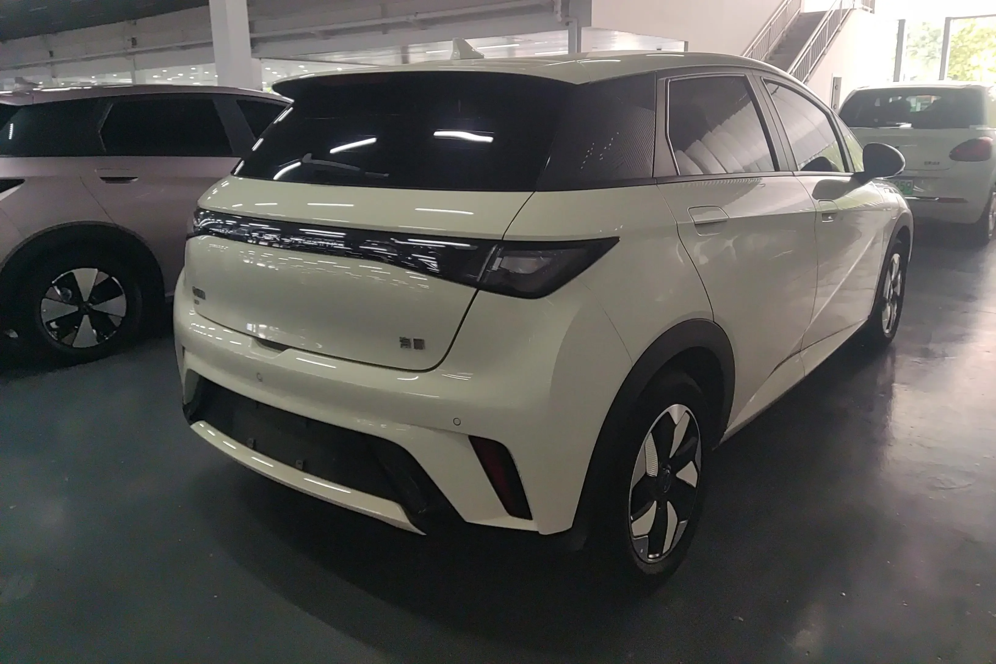 BYD dolphin