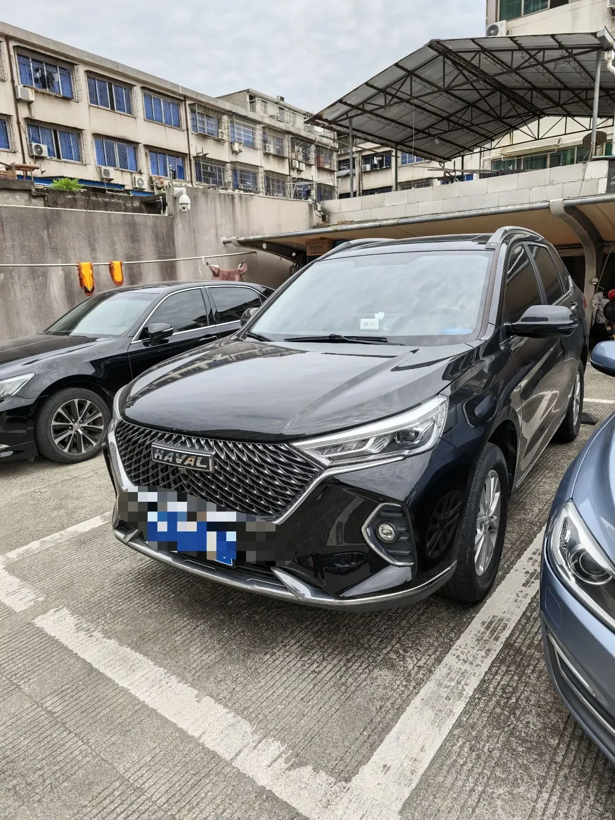 Haval M6