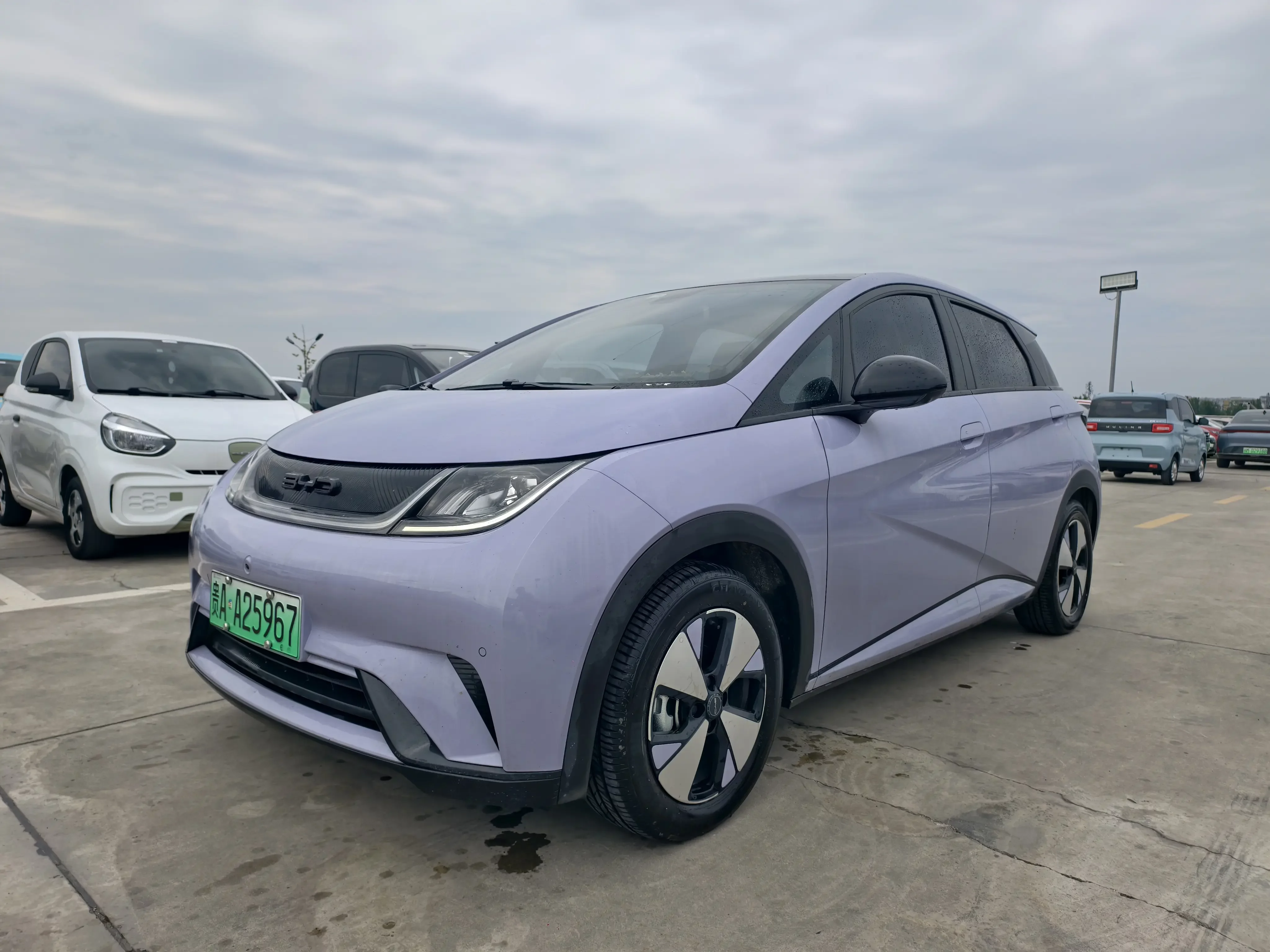 BYD dolphin