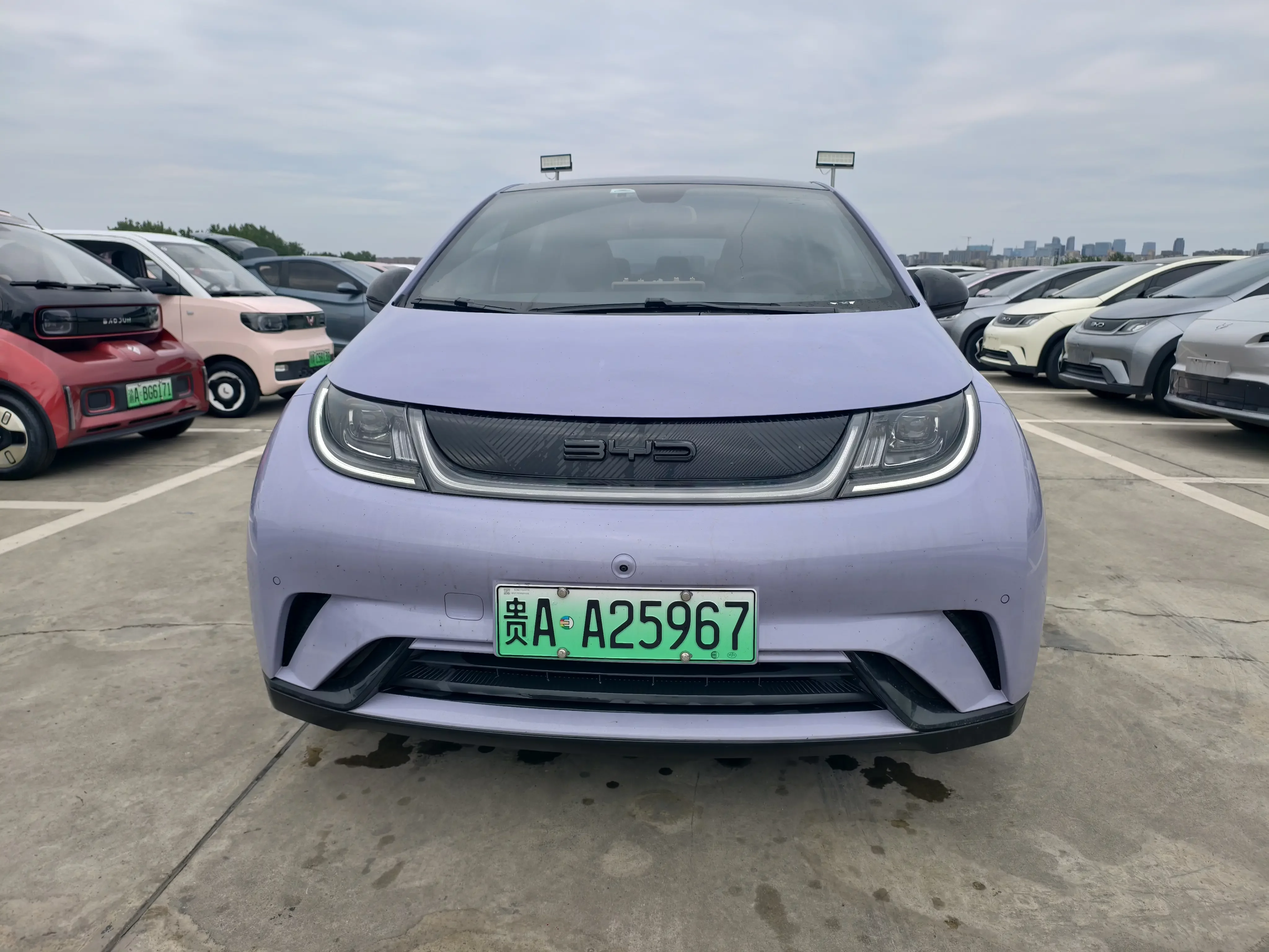 BYD dolphin