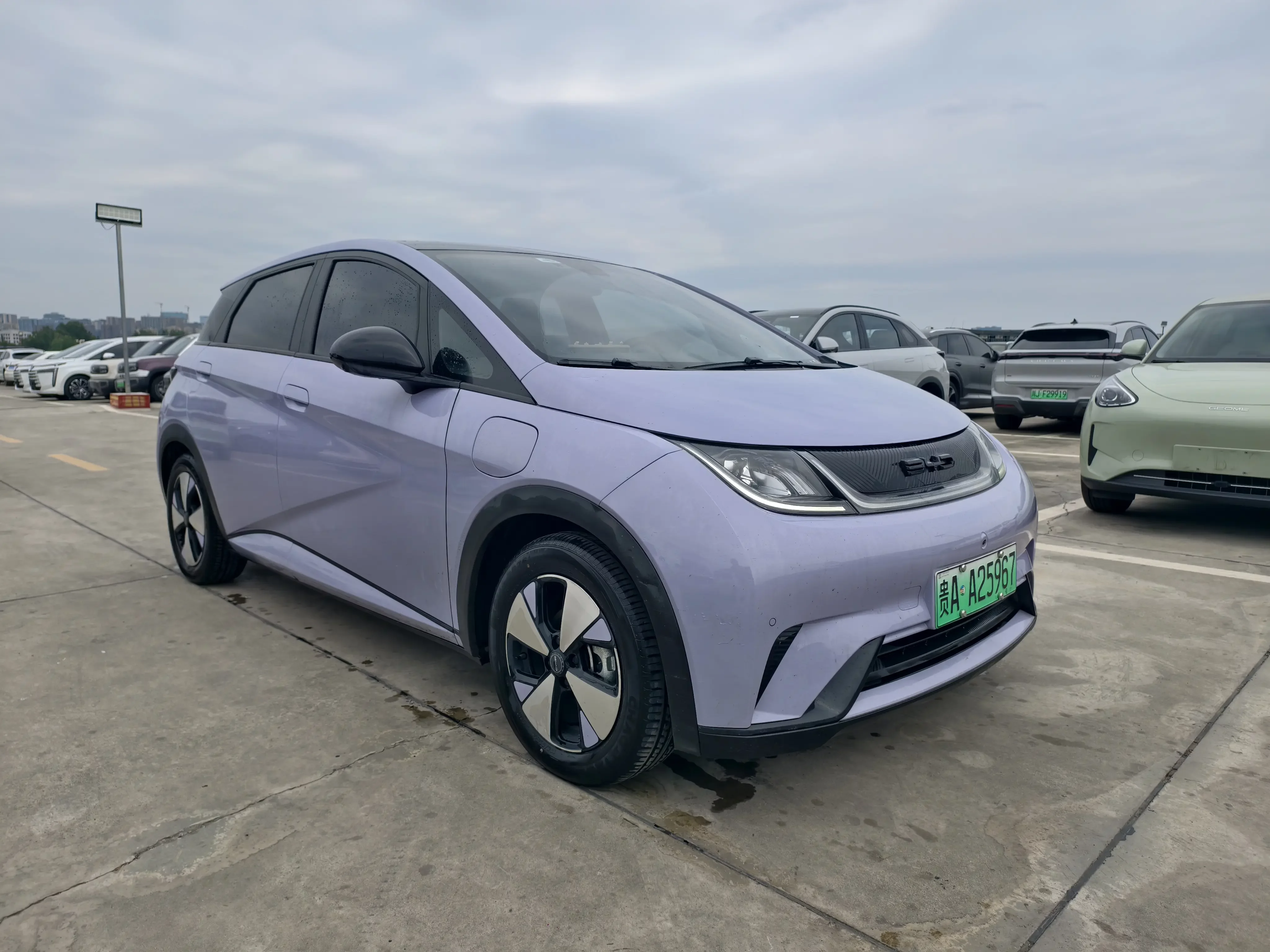 BYD dolphin