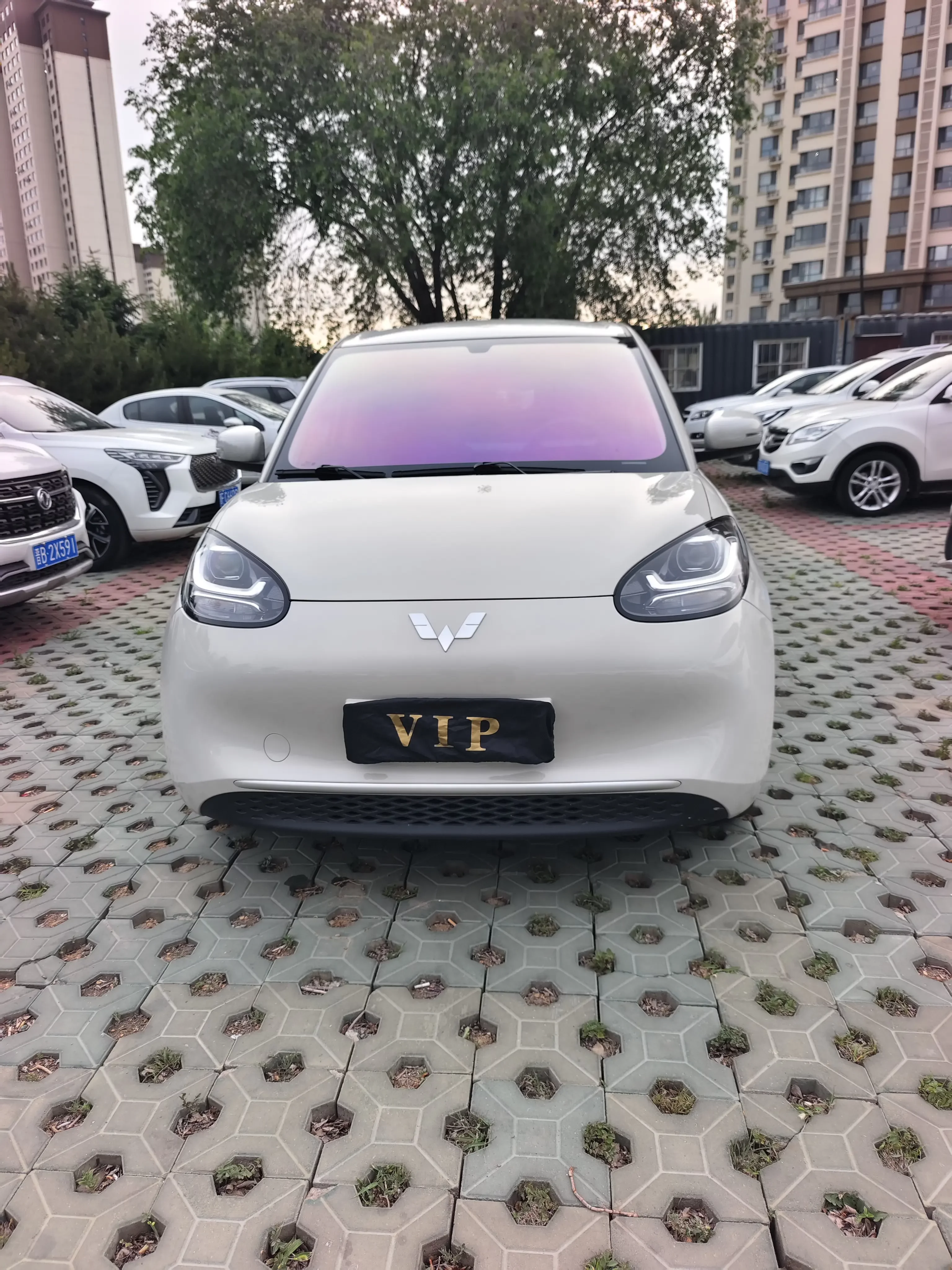 Wuling Bingo
