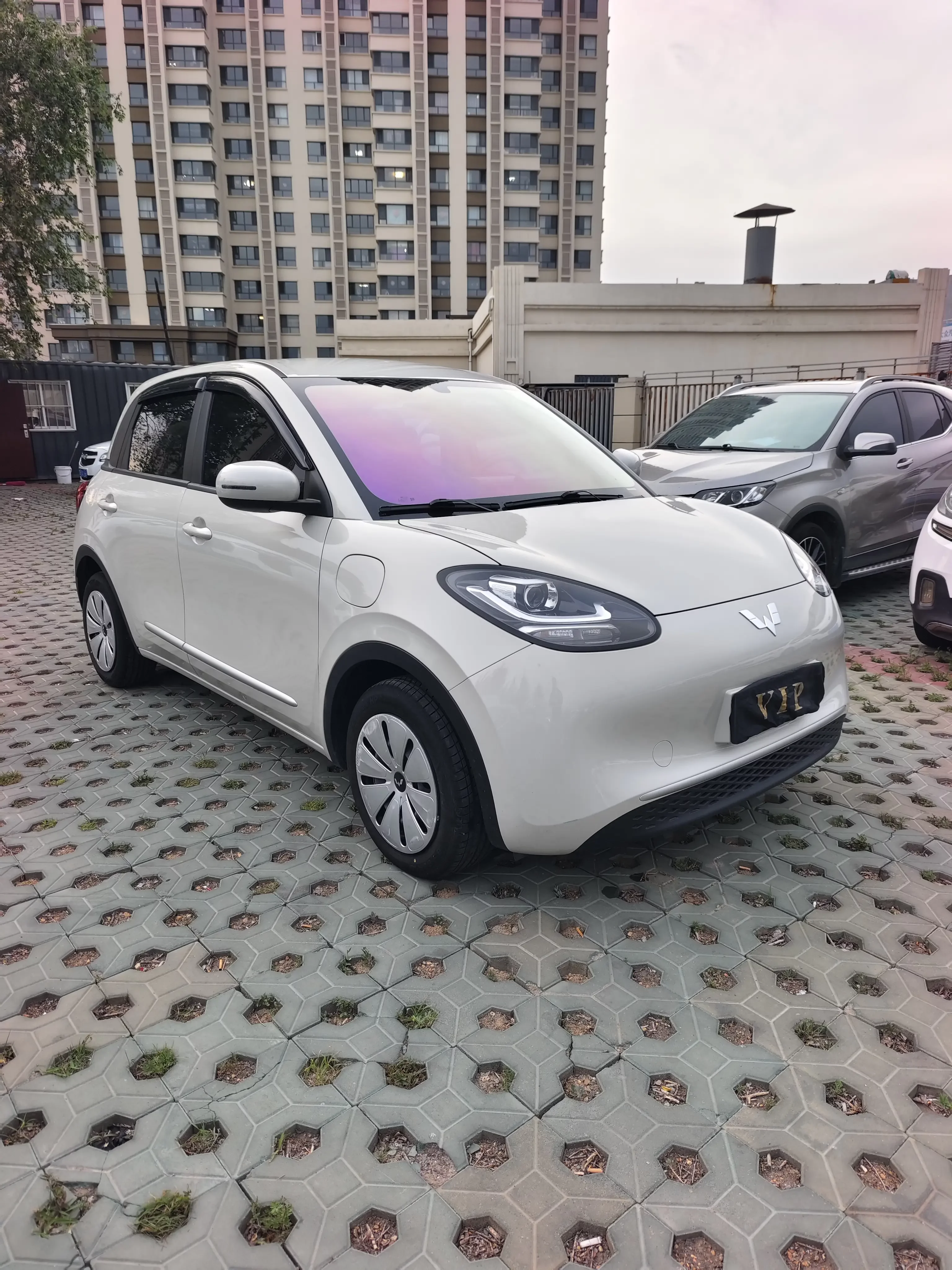 Wuling Bingo