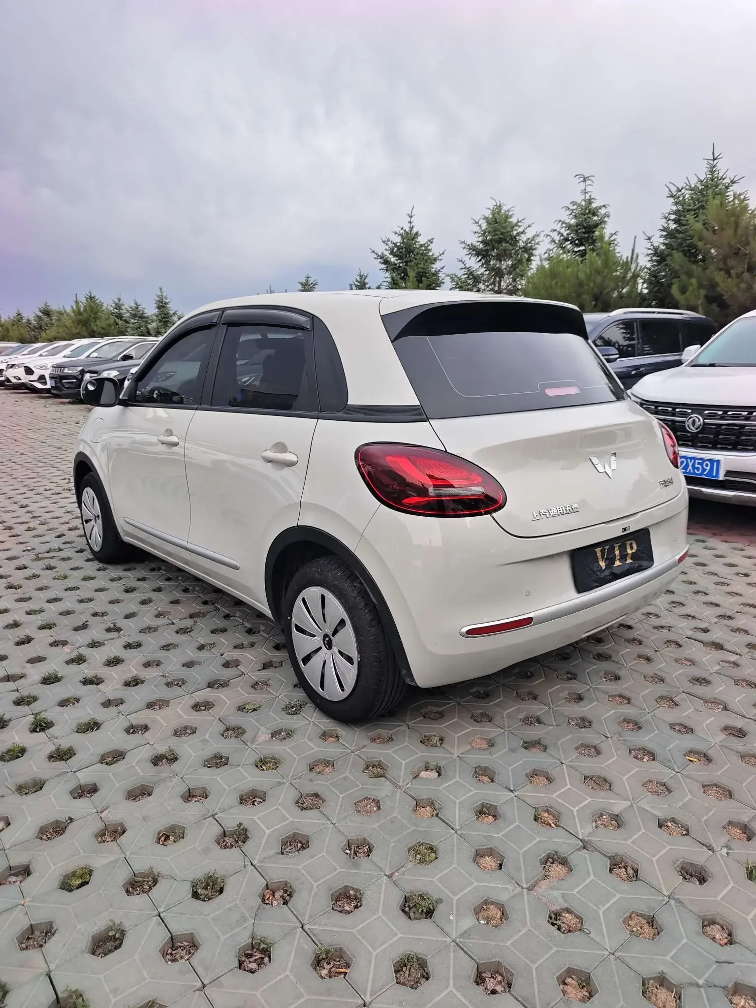 Wuling Bingo