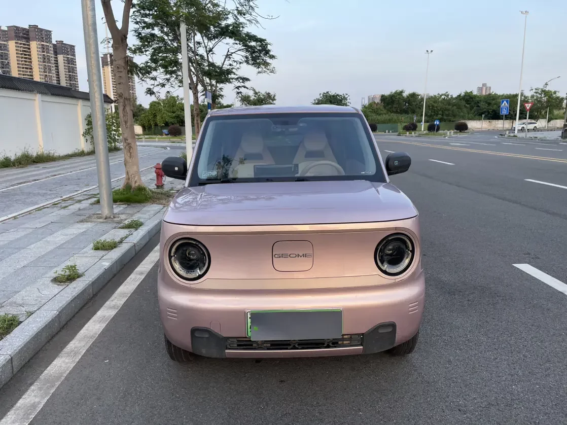 Geely panda