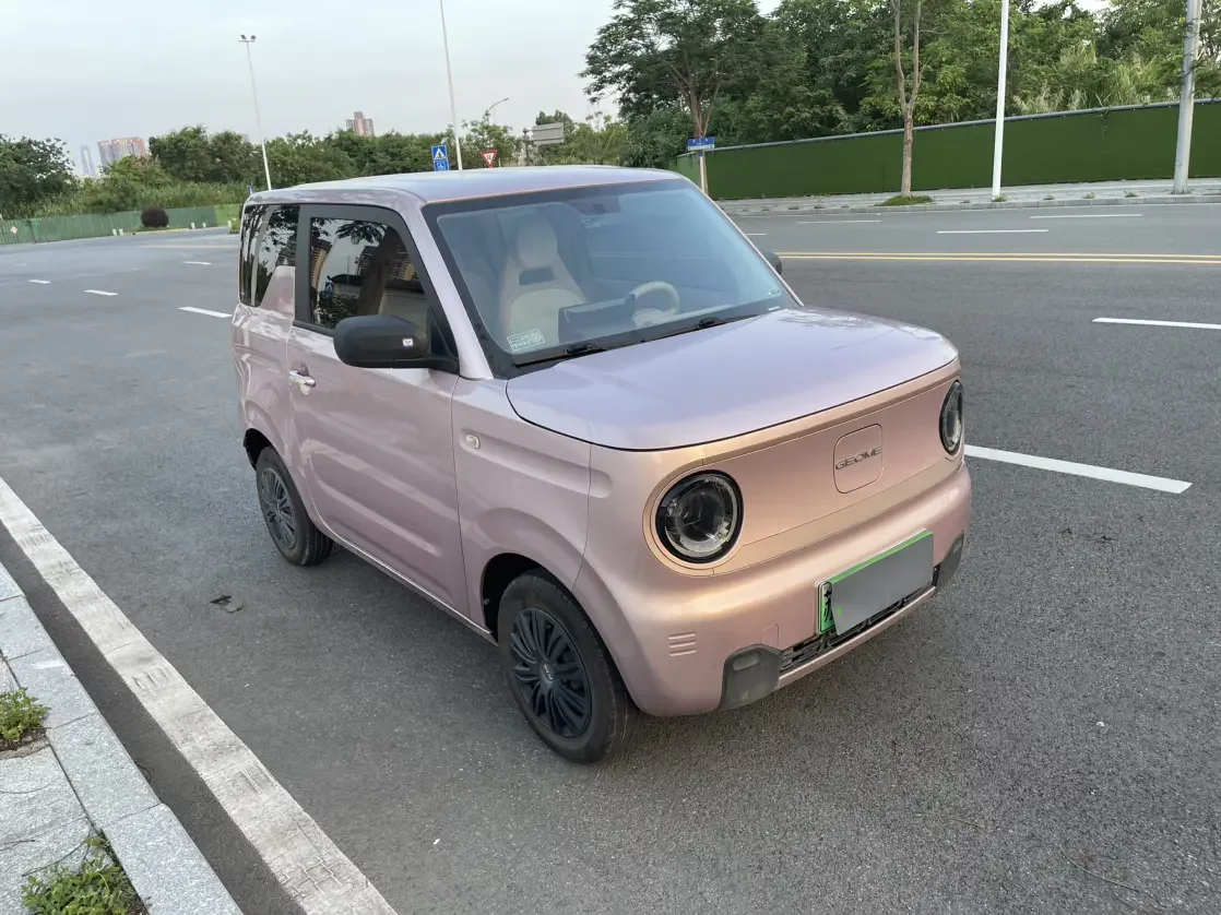 Geely panda