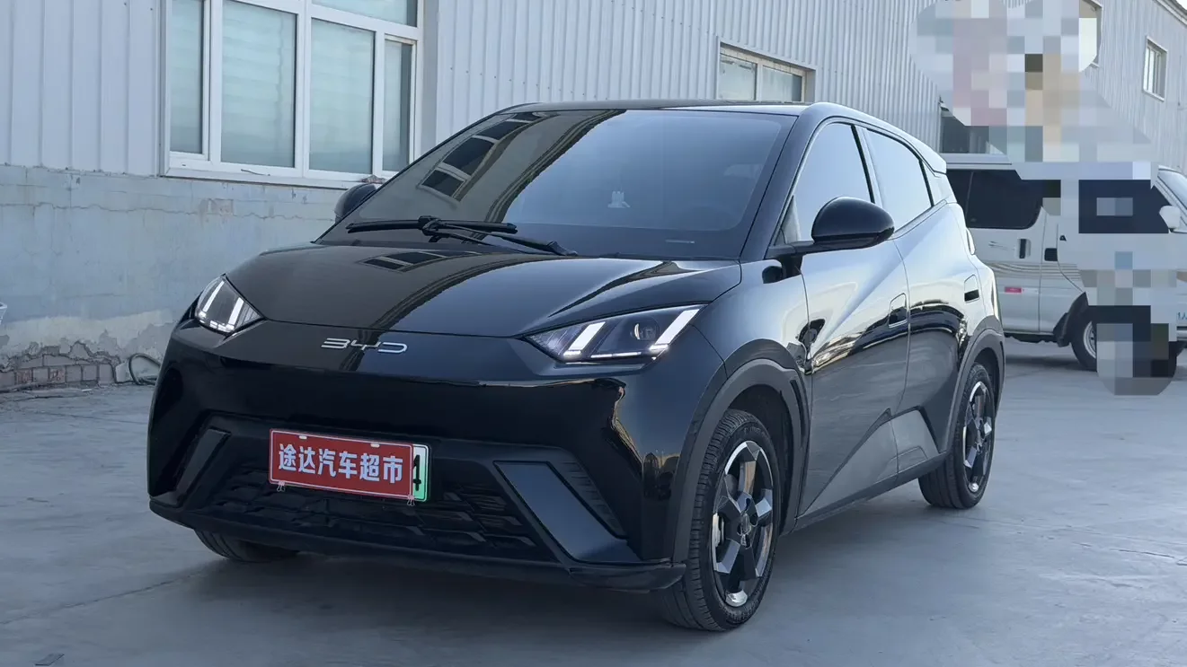 BYD seagull