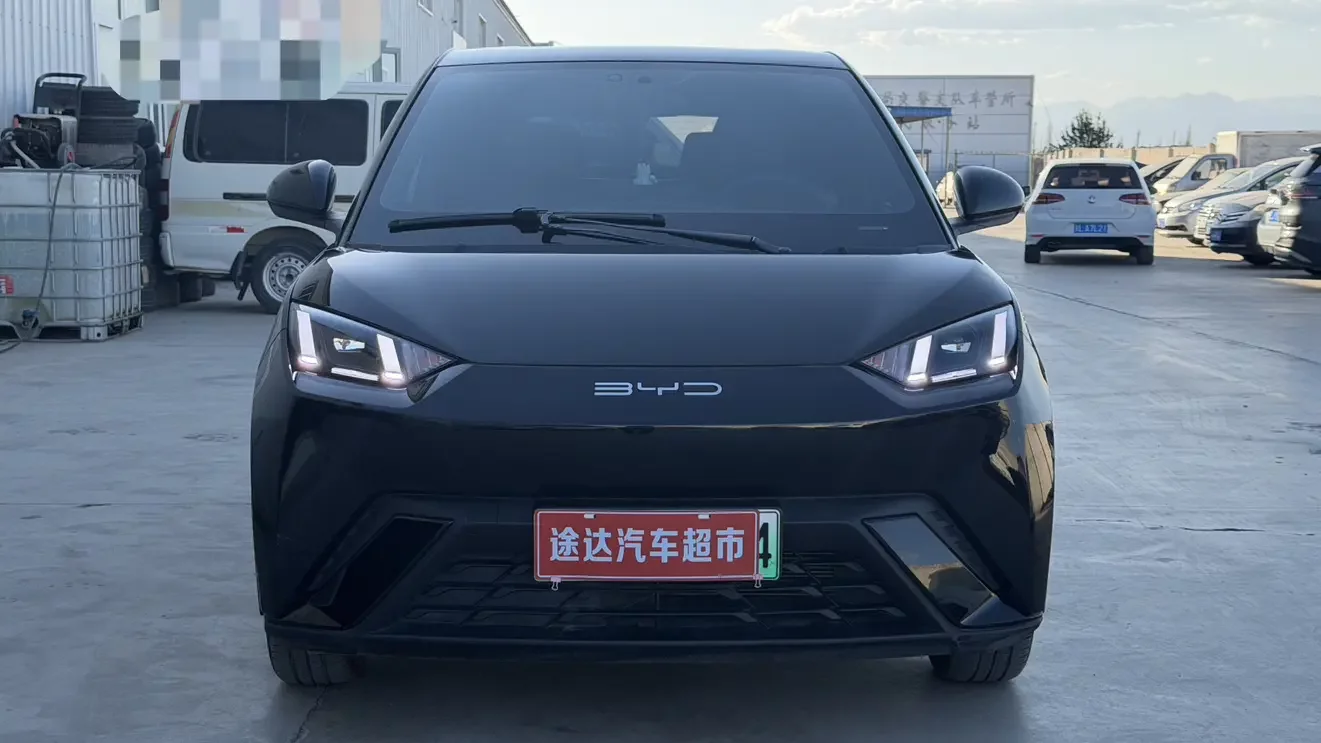 BYD seagull