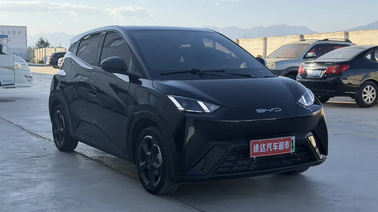 BYD seagull