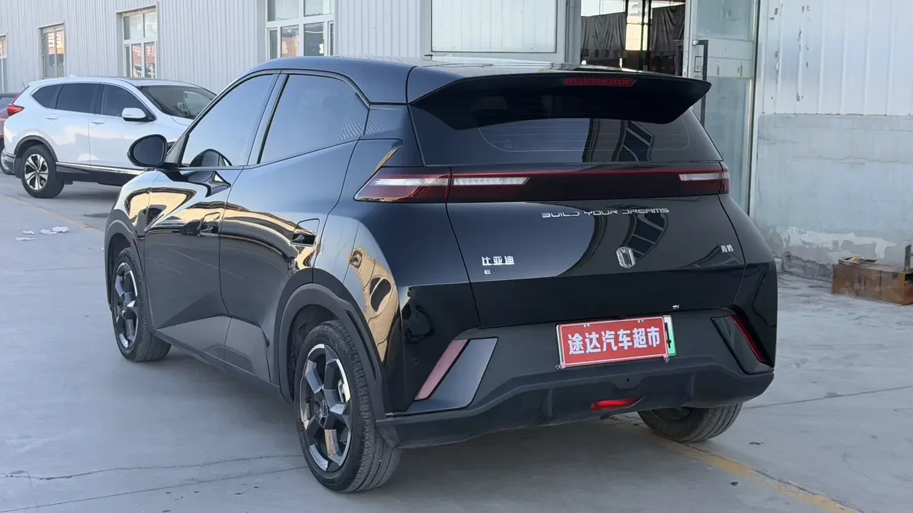 BYD seagull