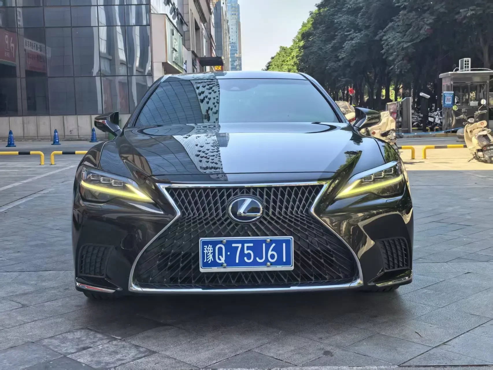Lexus LS