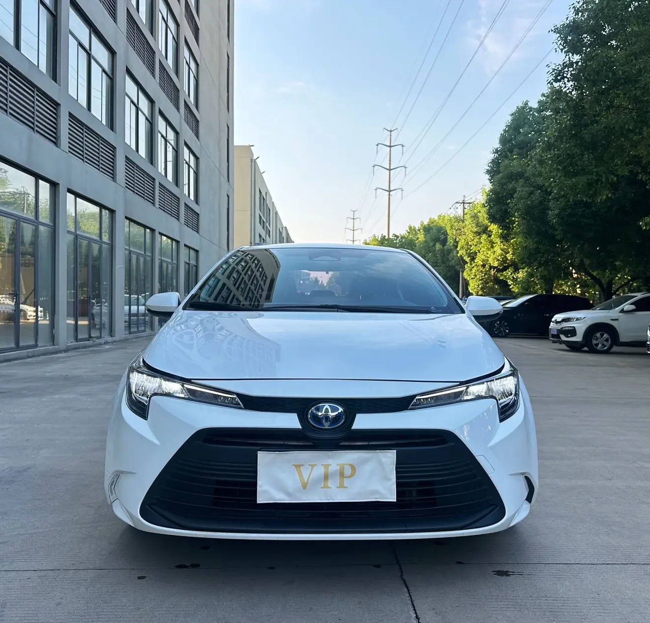 Toyota Levin