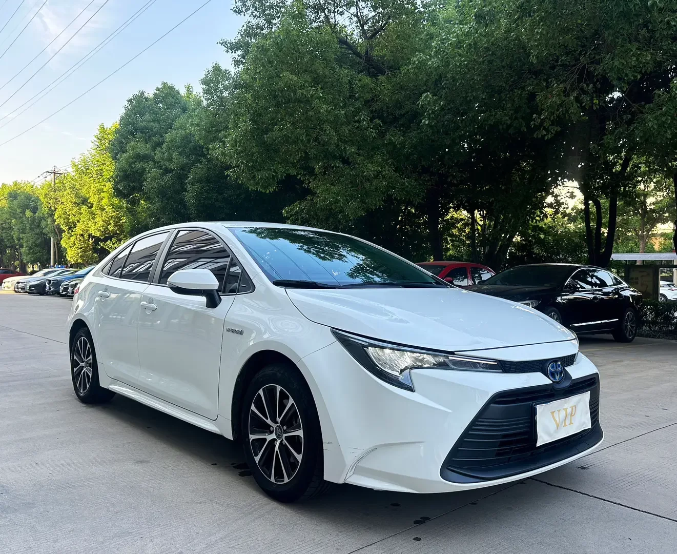 Toyota Levin