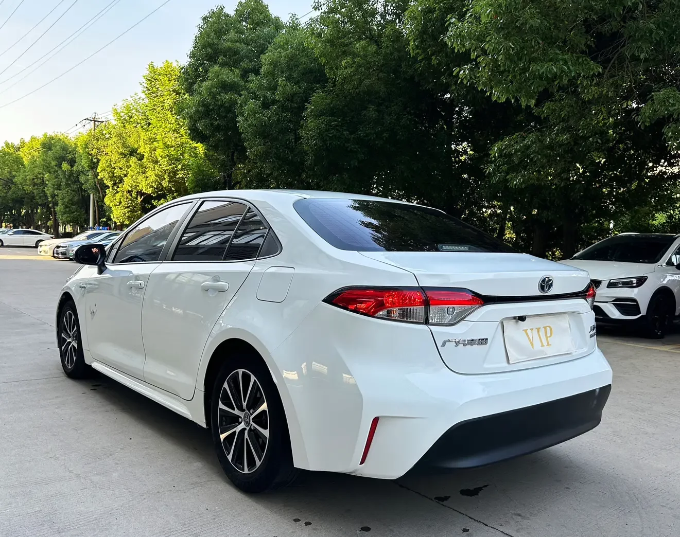 Toyota Levin