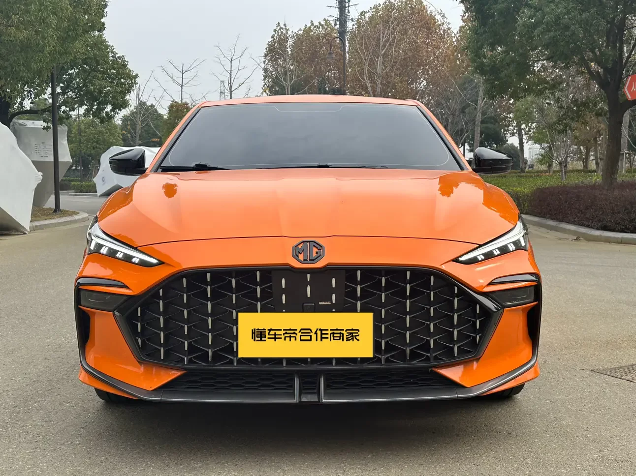 MG 6
