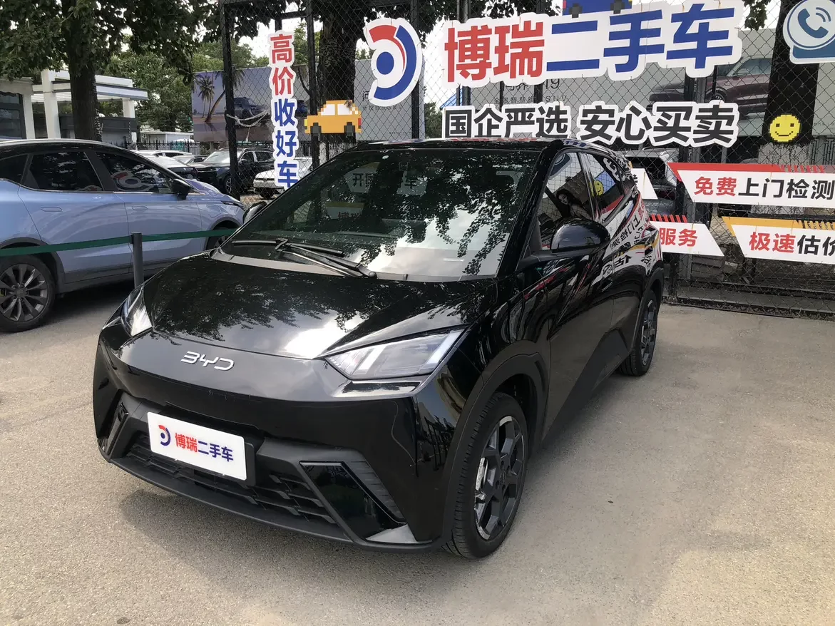 BYD seagull