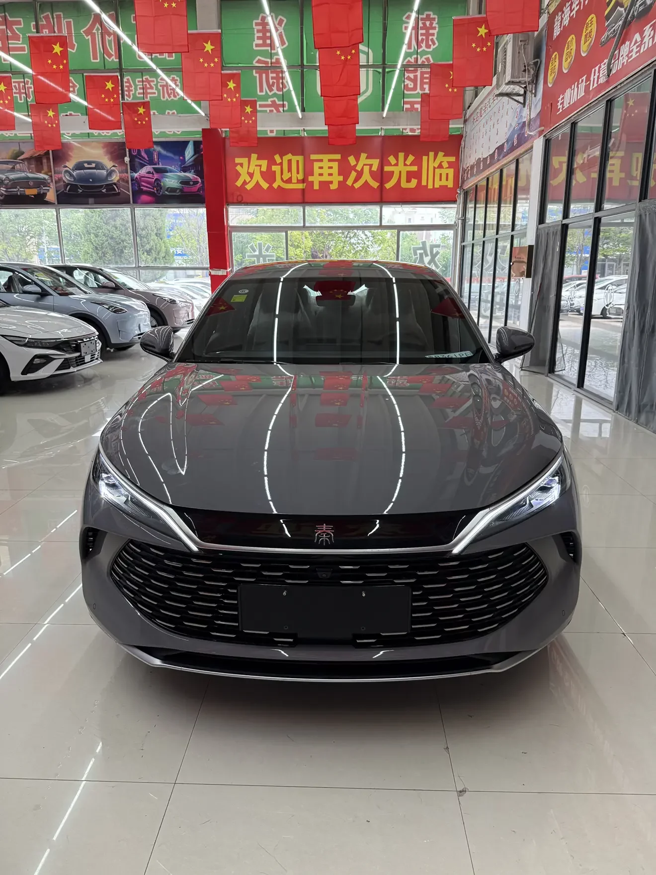 BYD Qin L DM