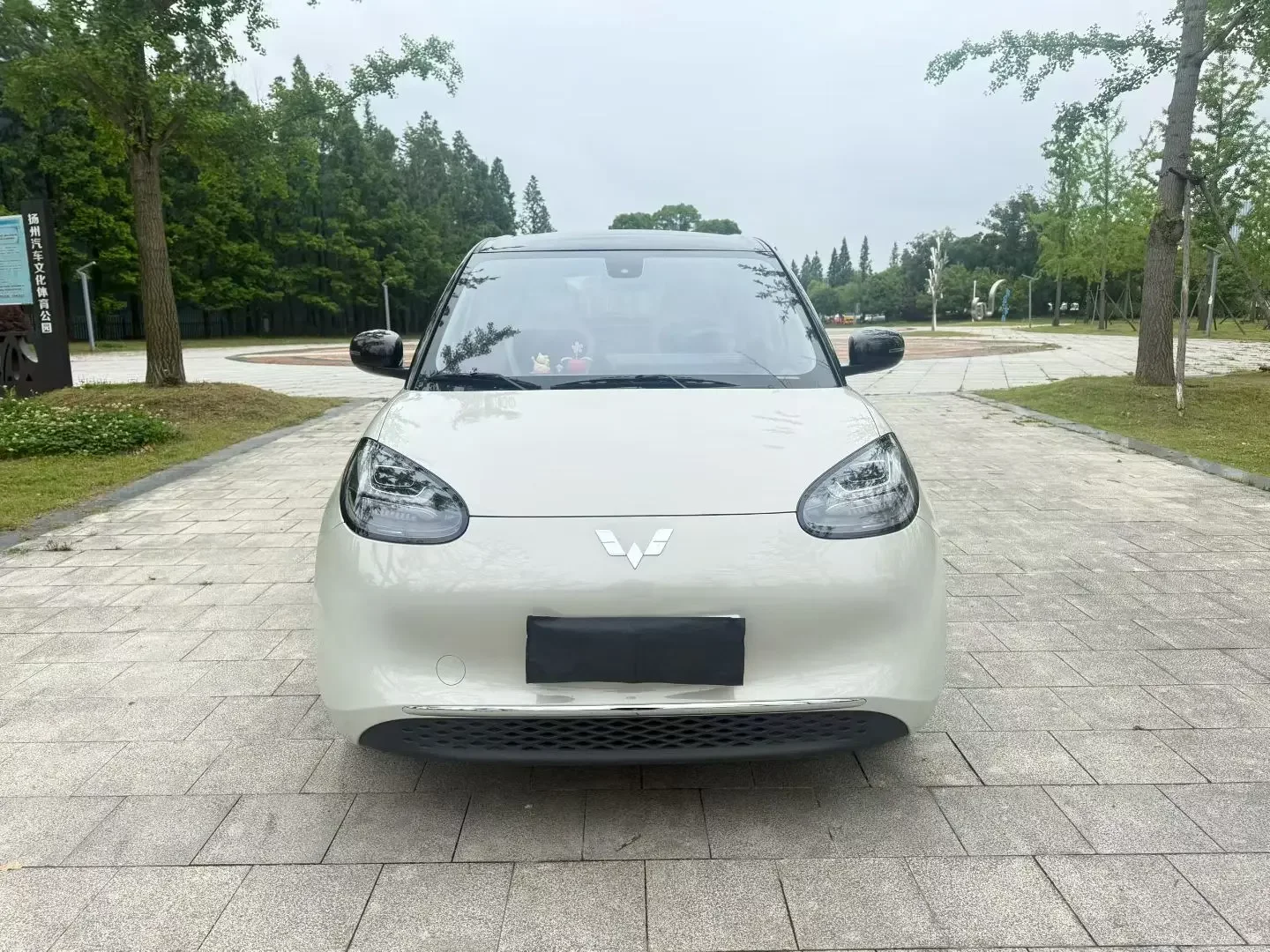 Wuling Bingo
