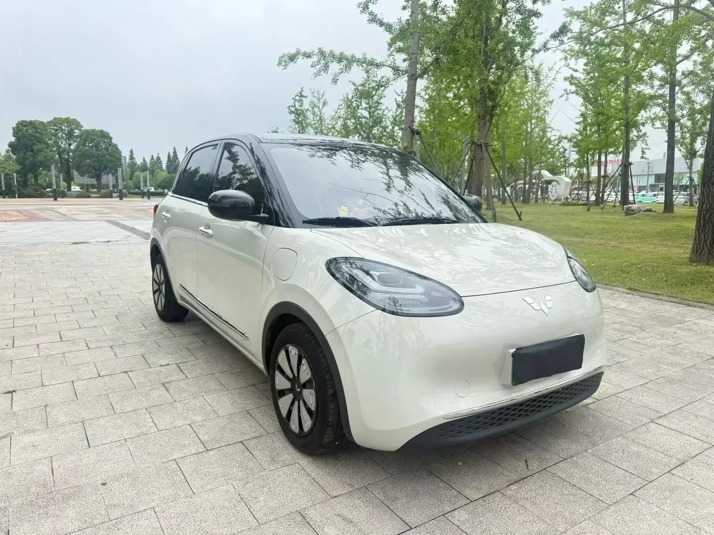 Wuling Bingo