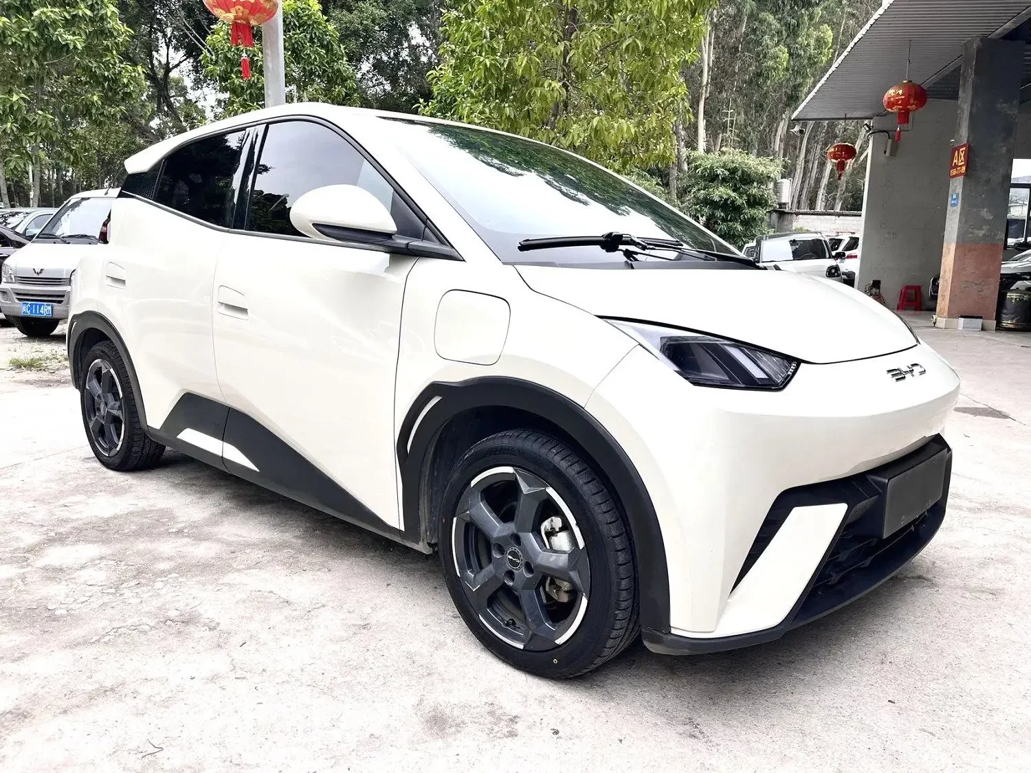 BYD seagull