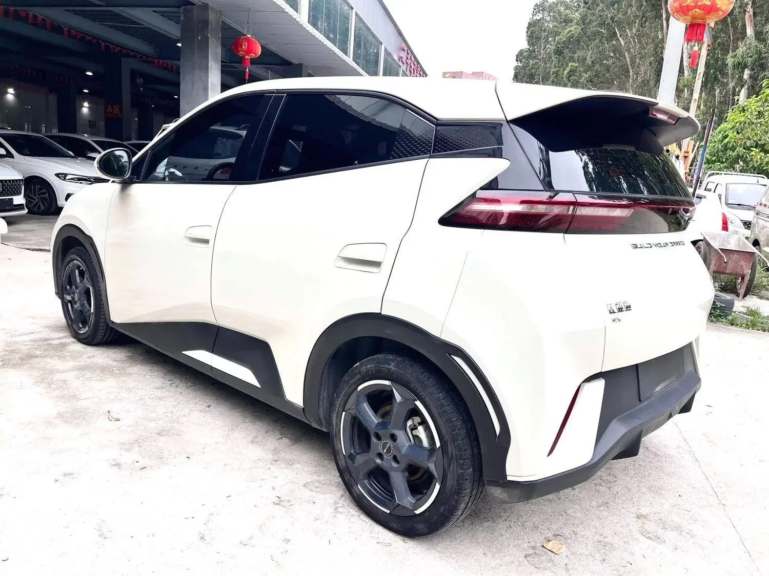 BYD seagull
