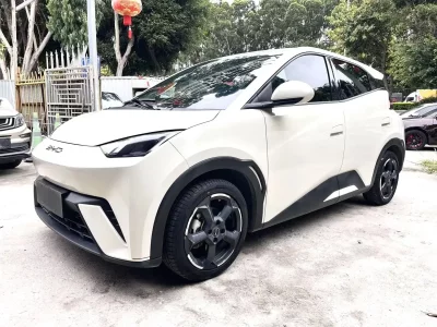 BYD Seagull