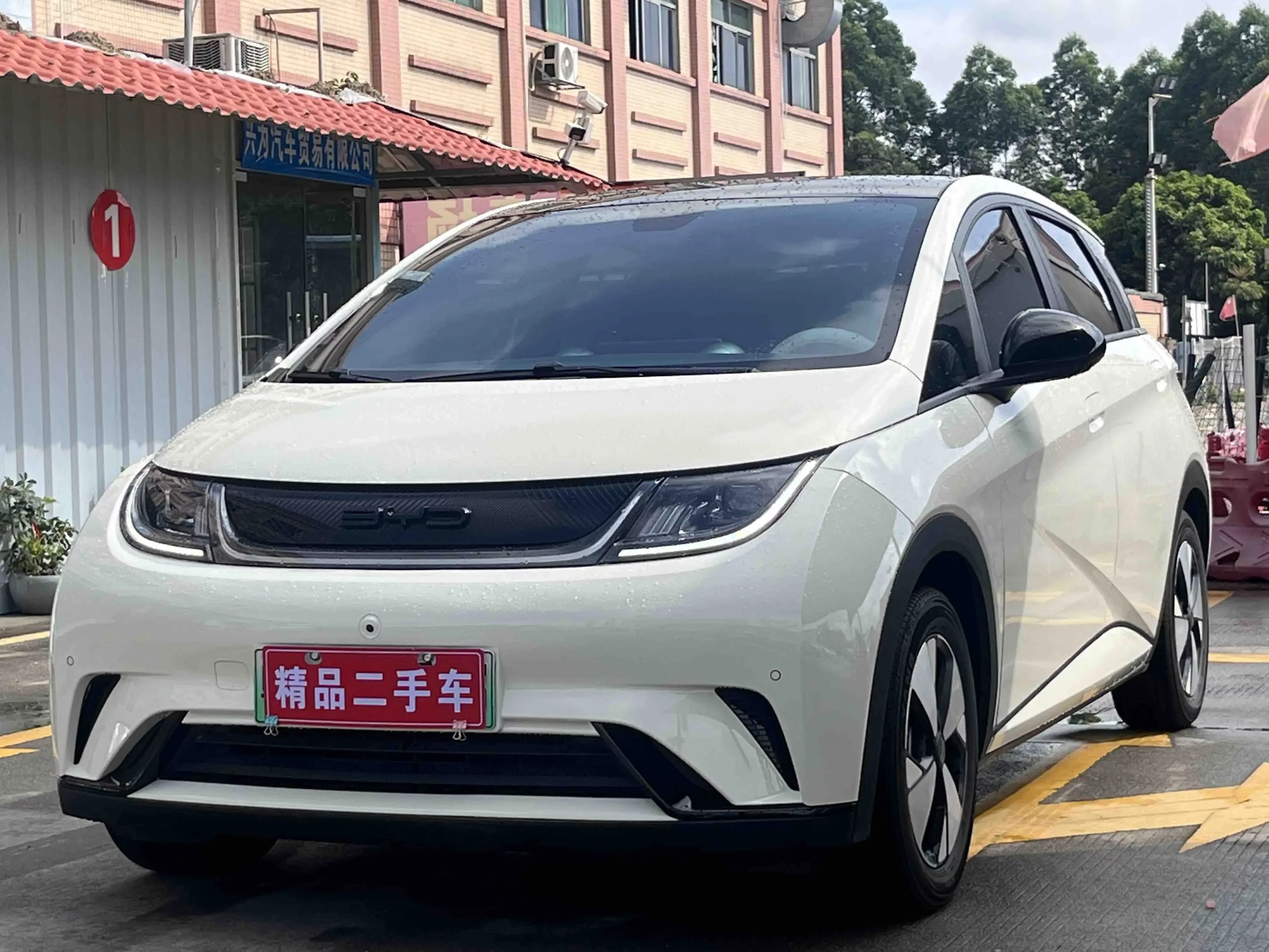 BYD dolphin