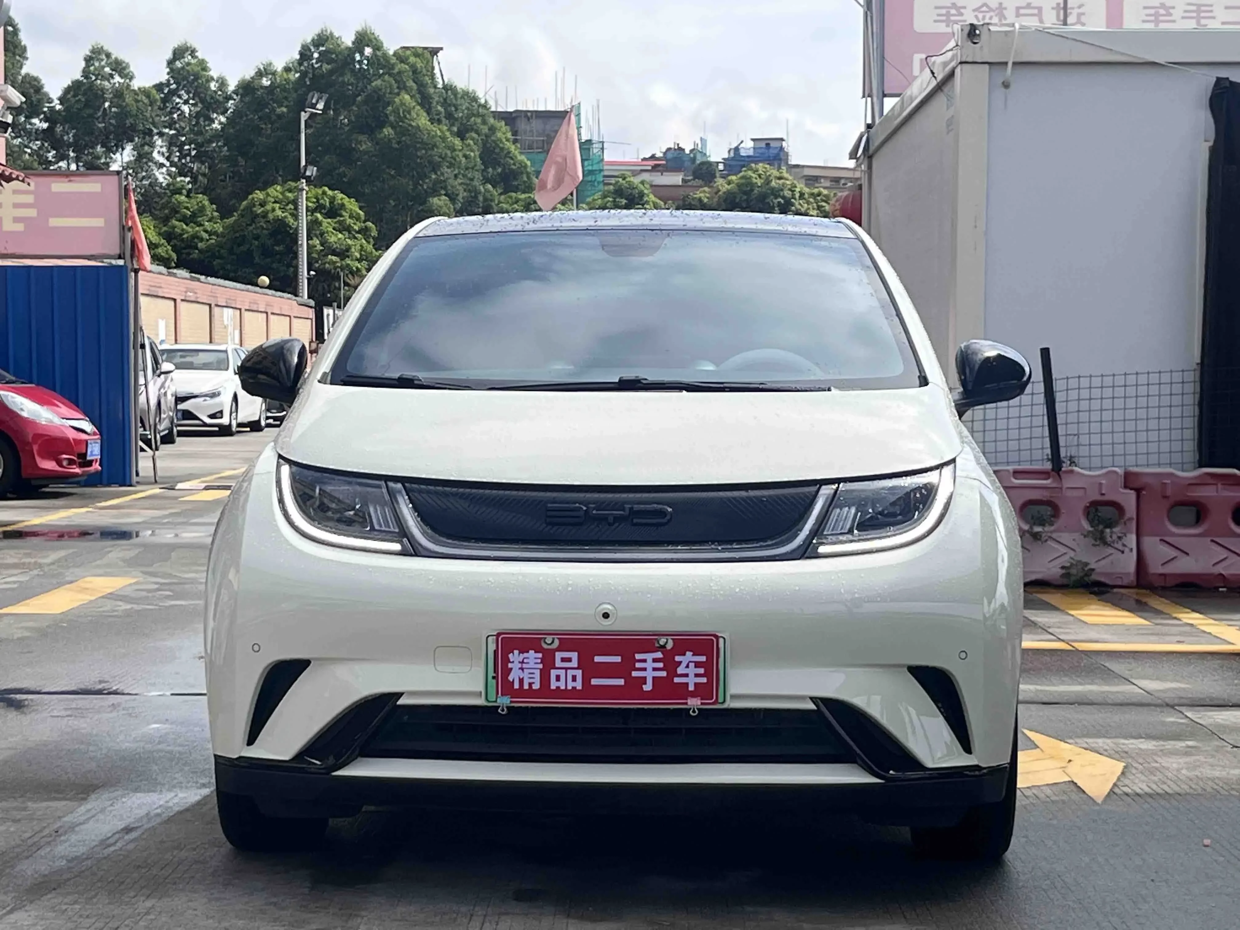 BYD dolphin