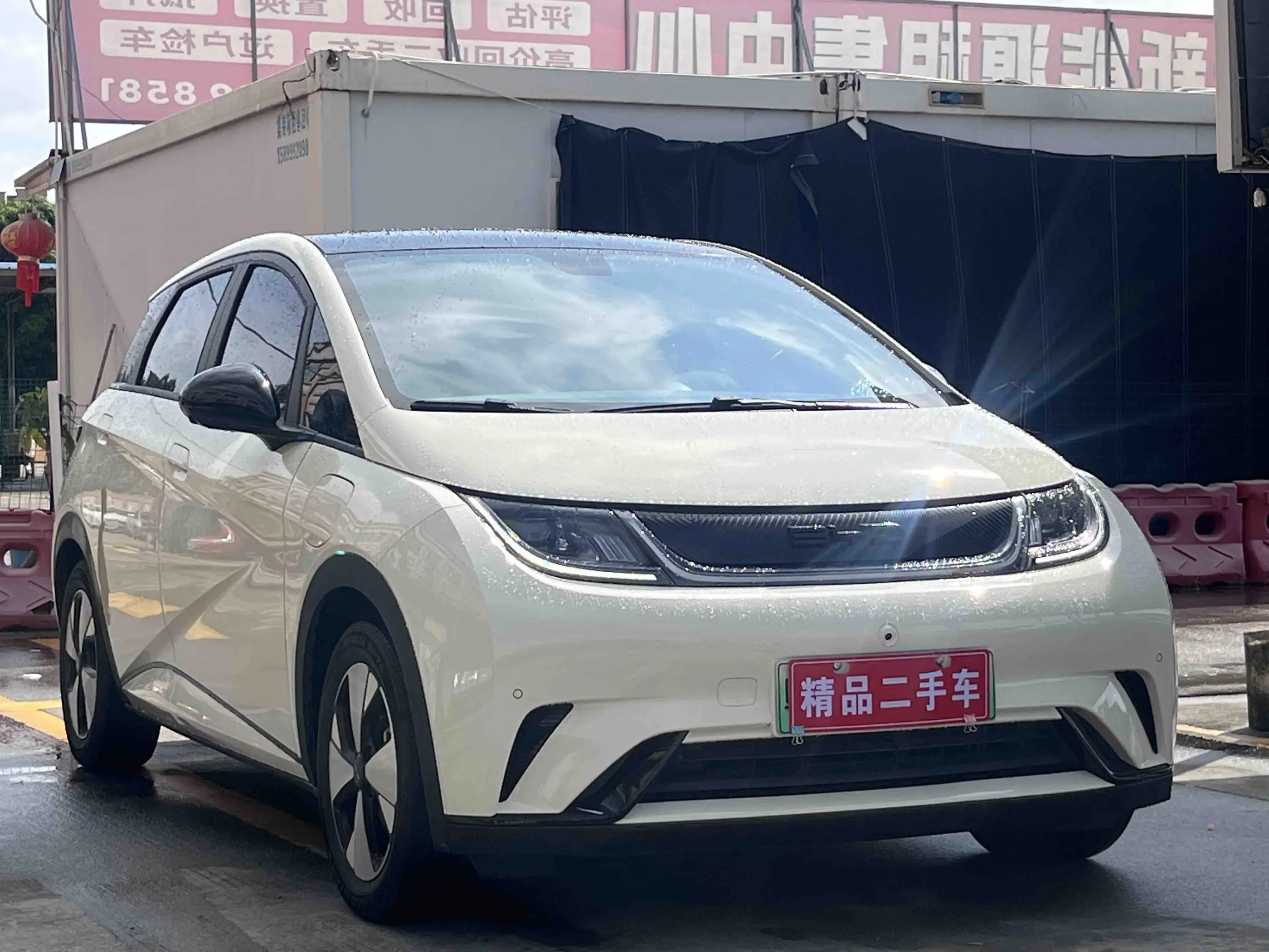 BYD dolphin