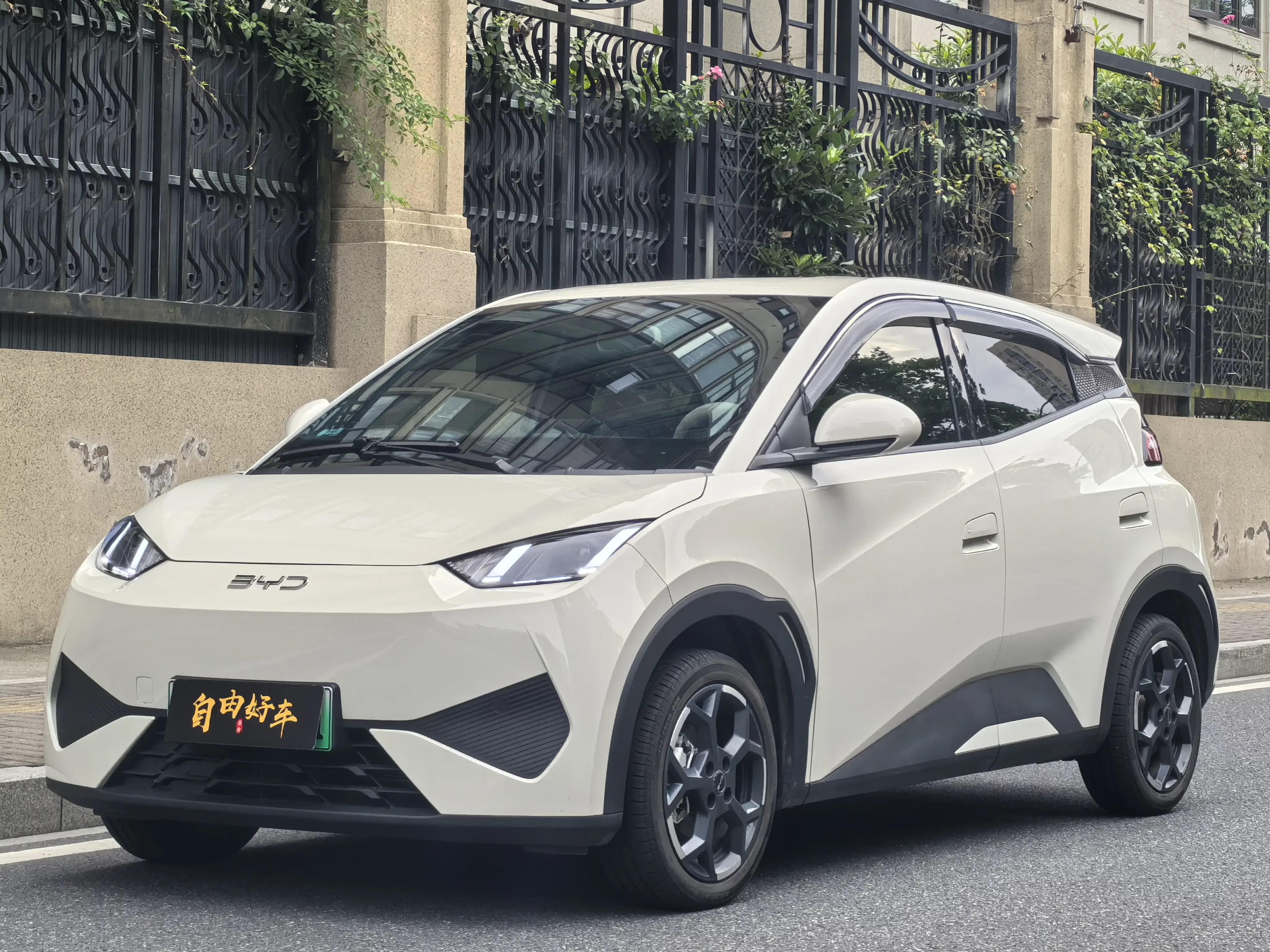 BYD seagull