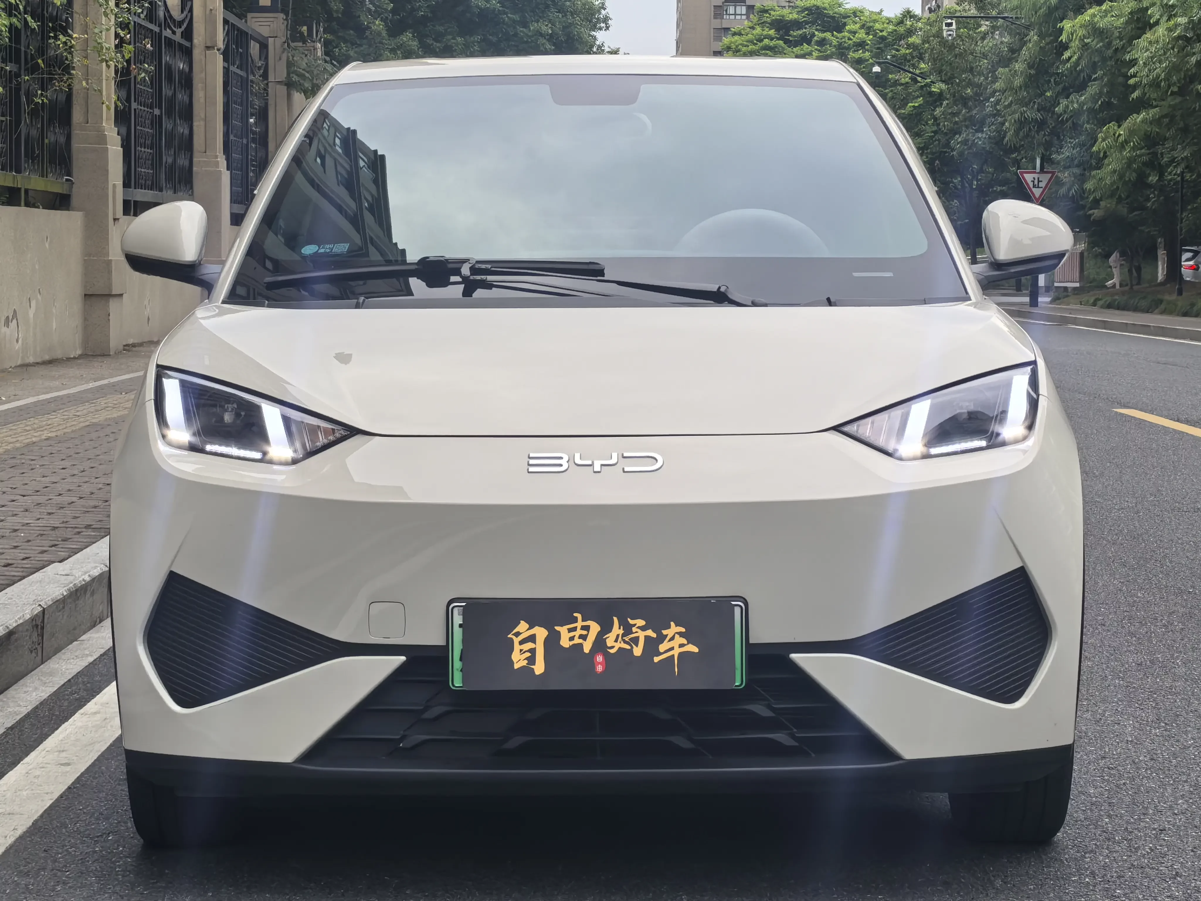 BYD seagull