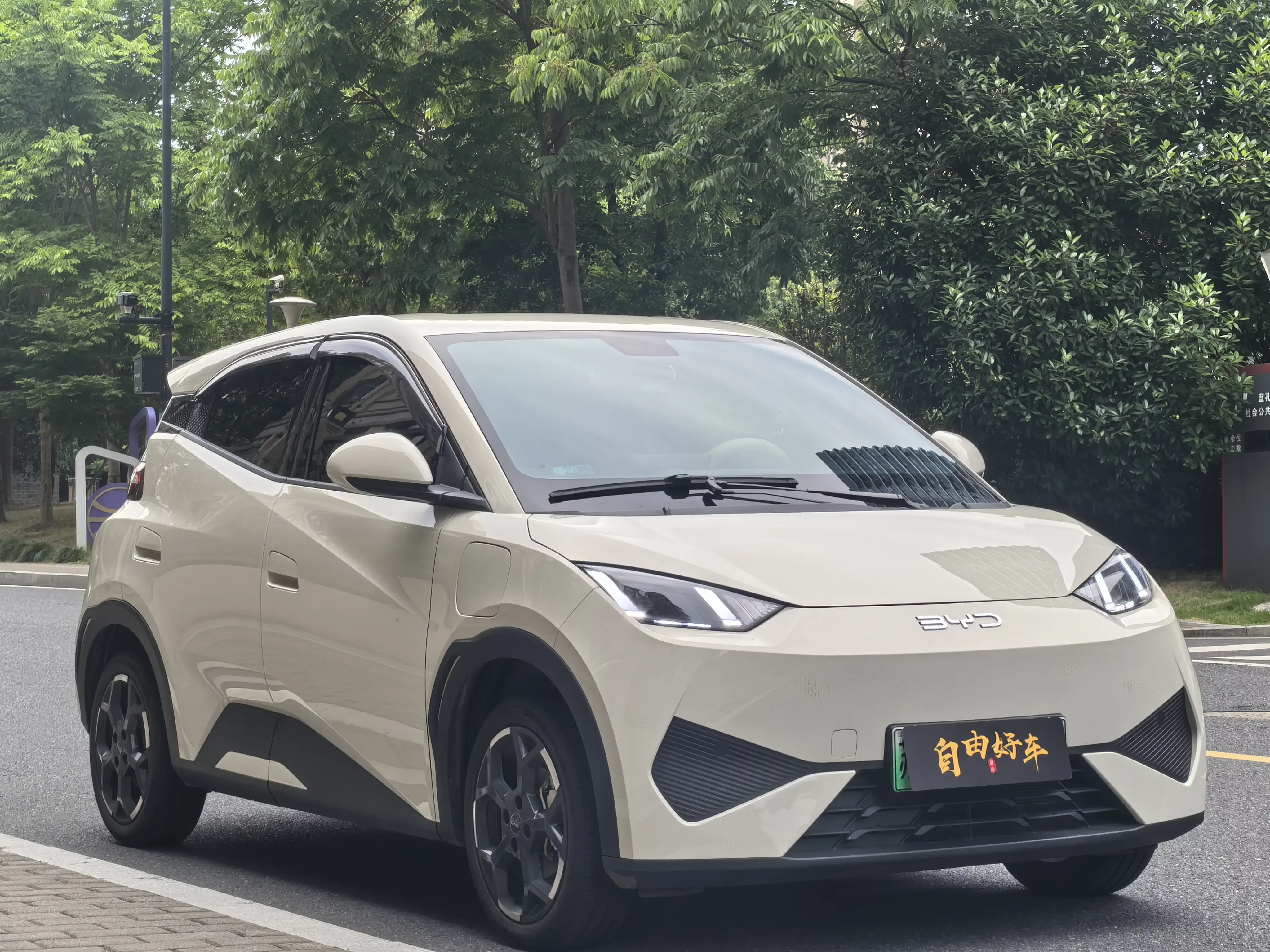 BYD seagull