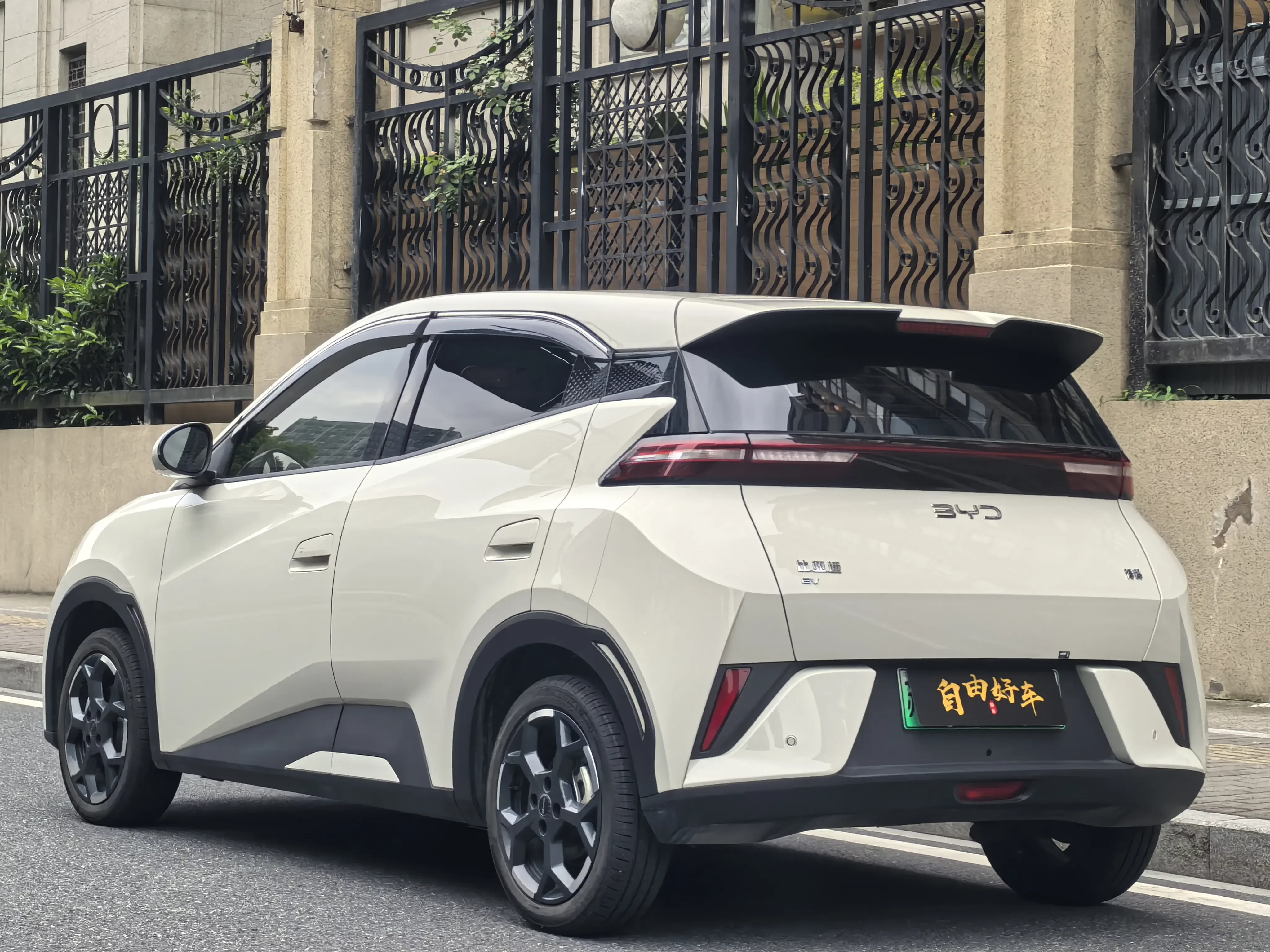 BYD seagull