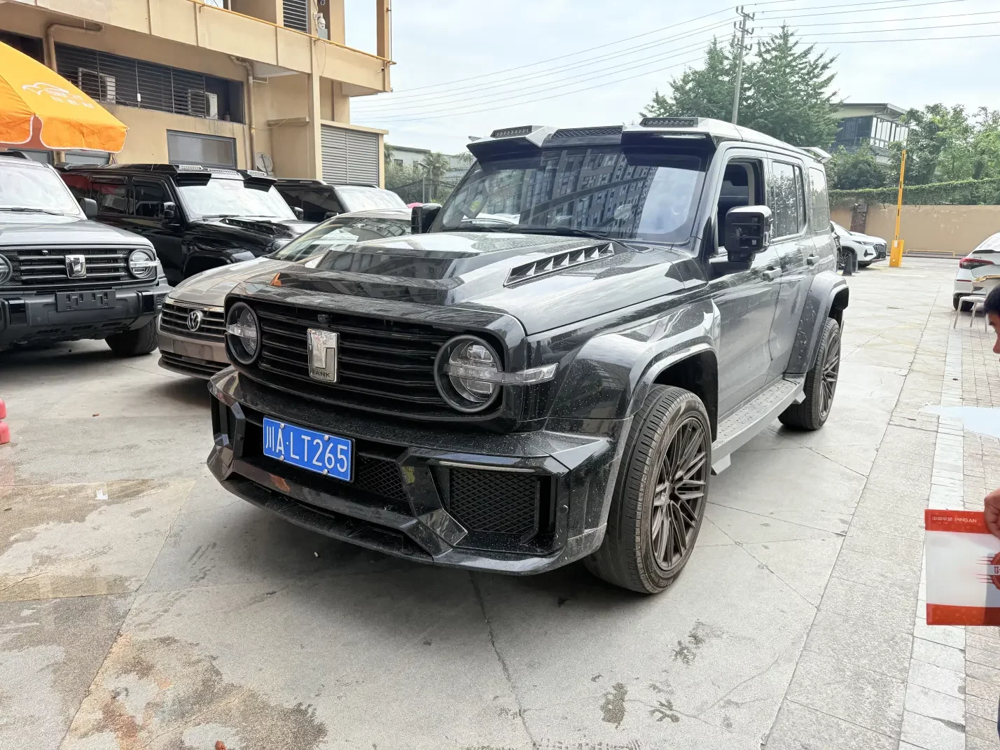 Tank 300