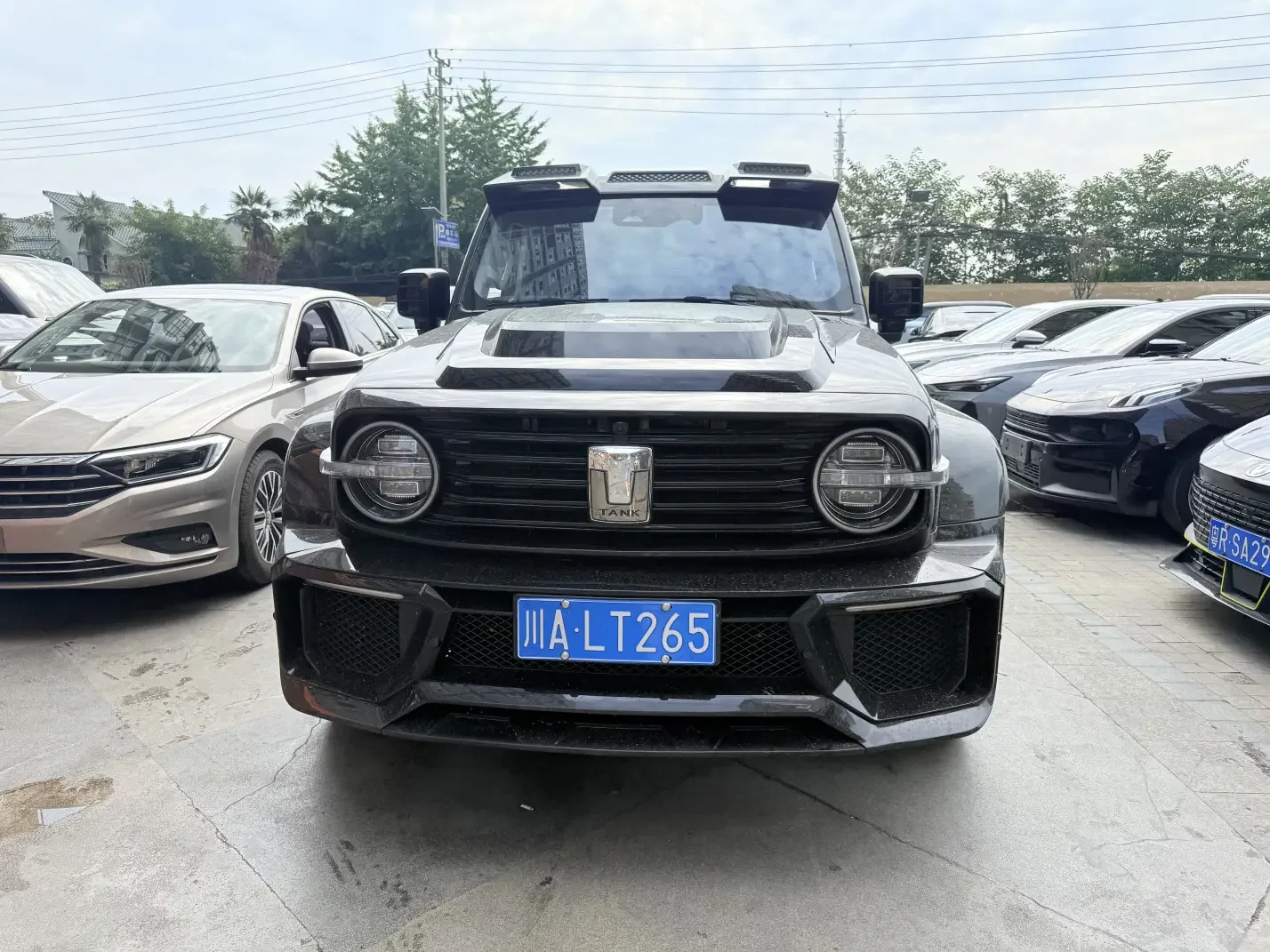 Tank 300