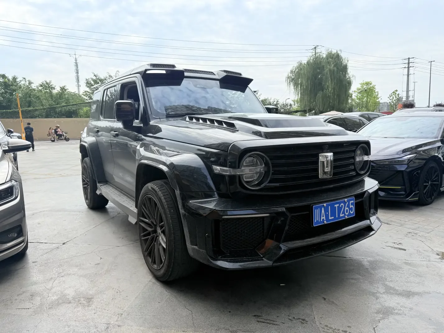 Tank 300