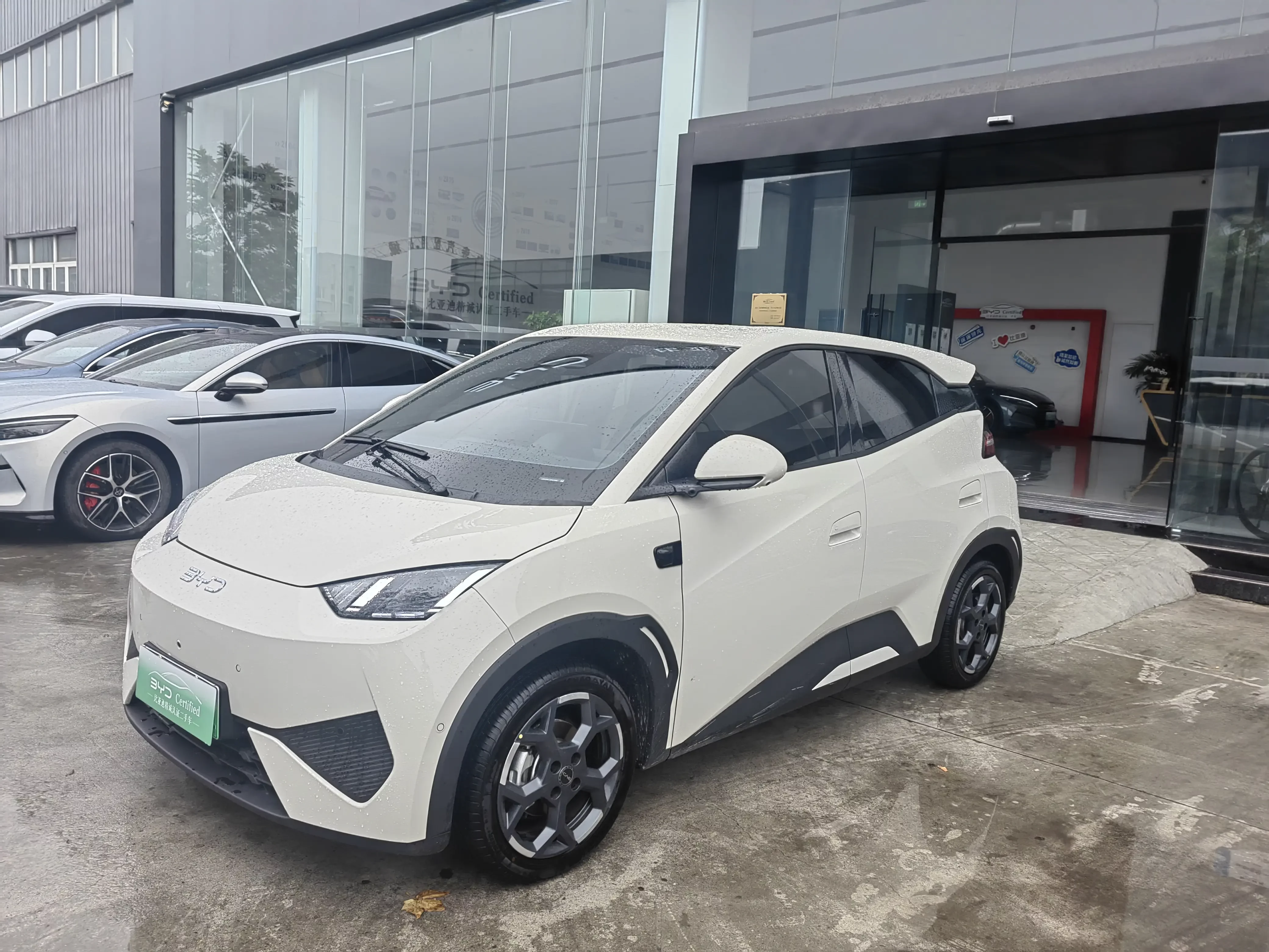 BYD seagull