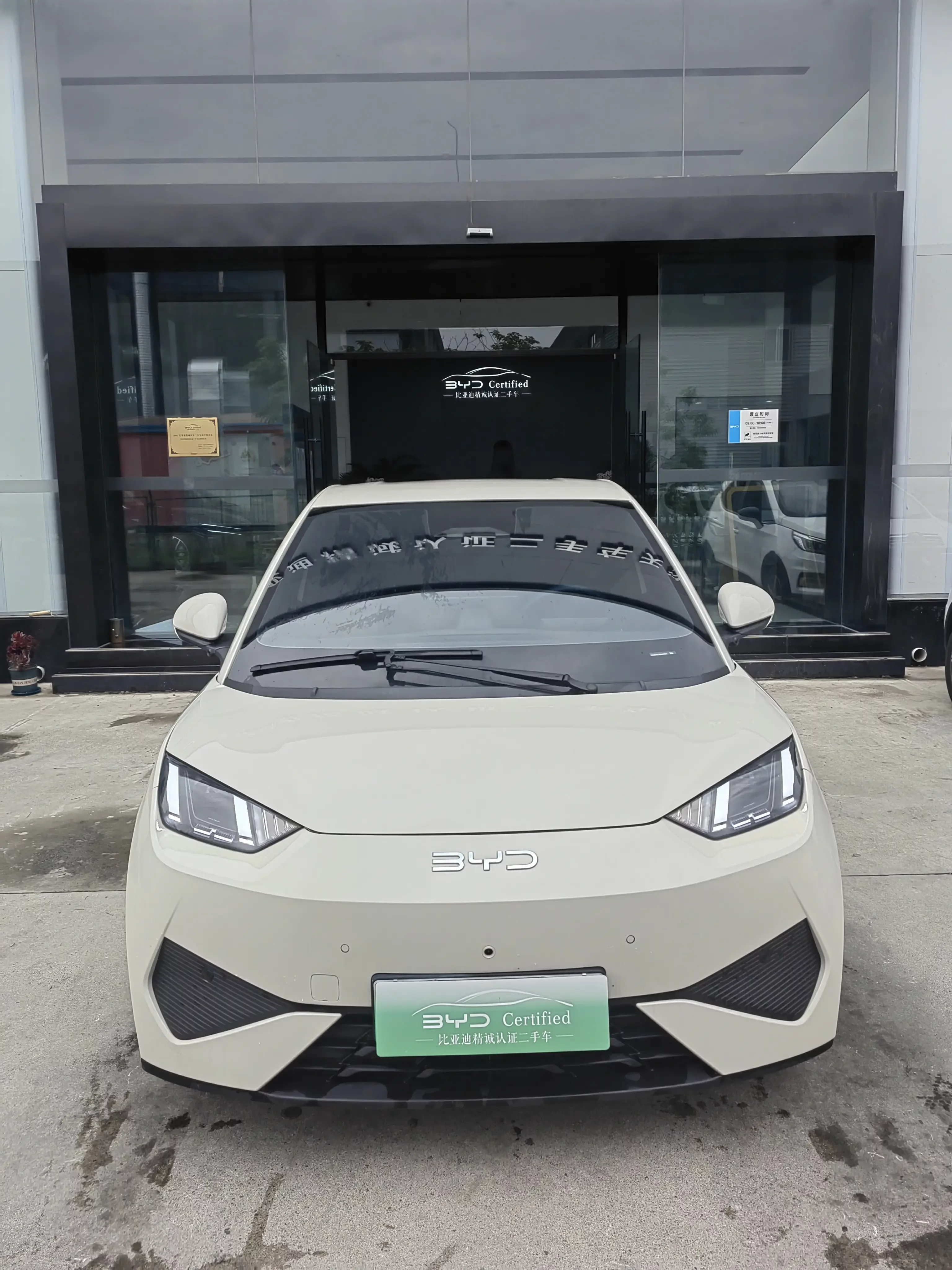 BYD seagull