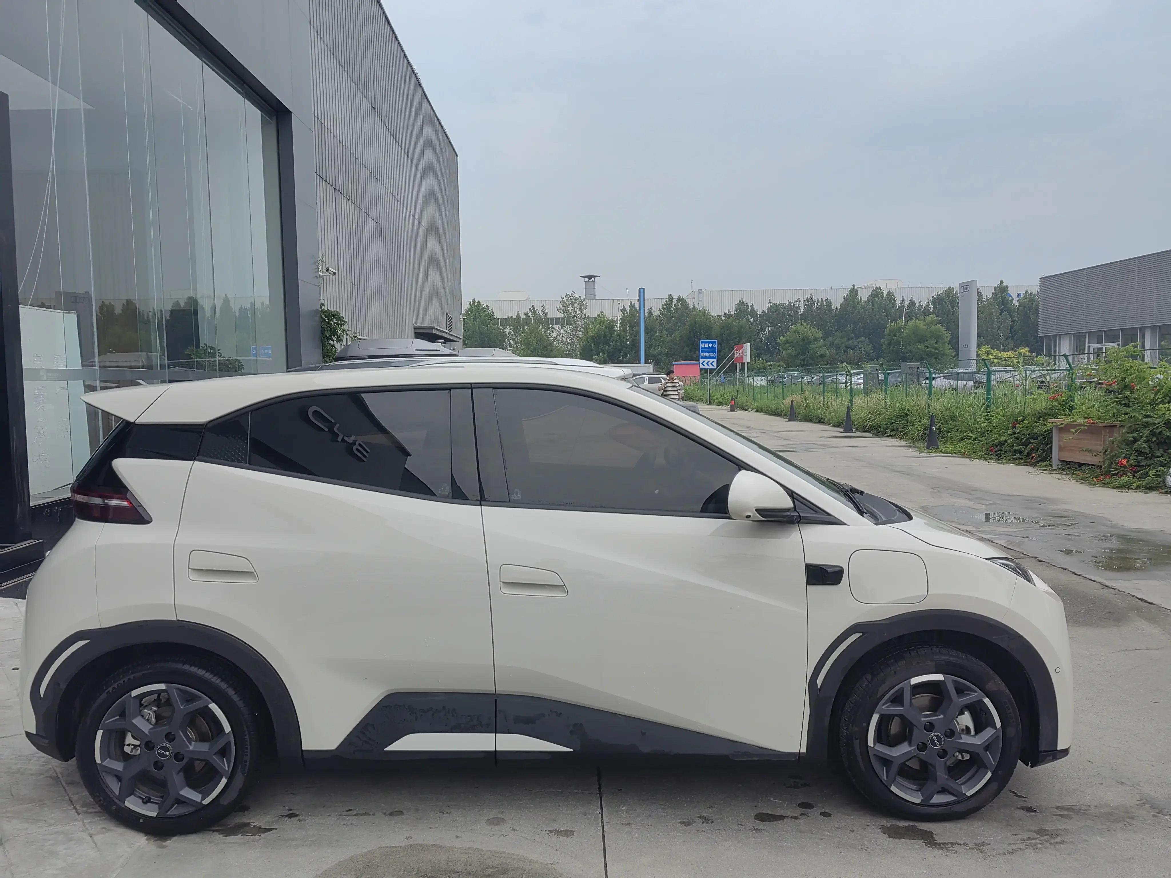 BYD seagull