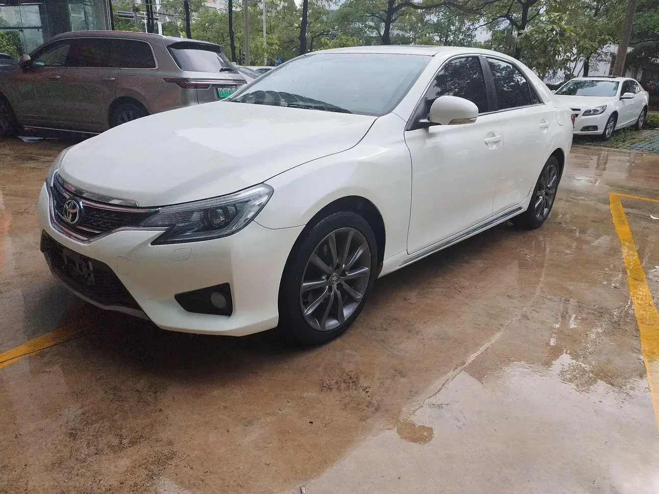 Toyota Ruizhi