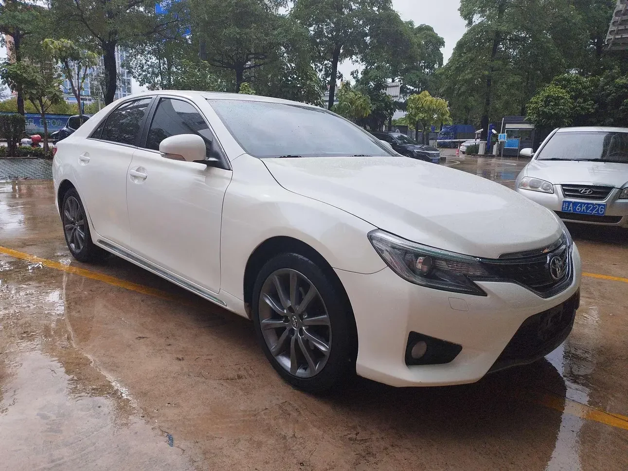 Toyota Ruizhi