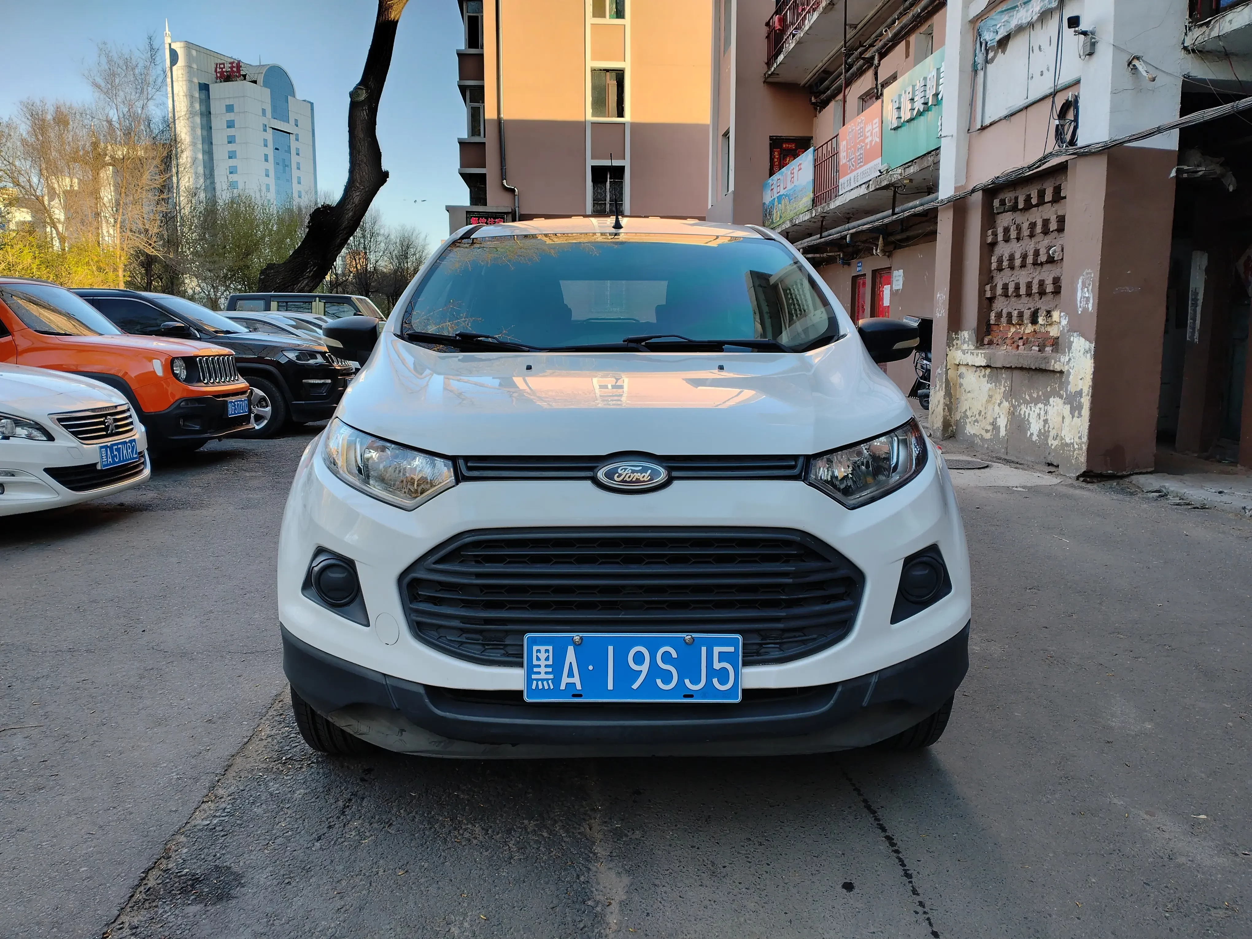 Ford Yibo
