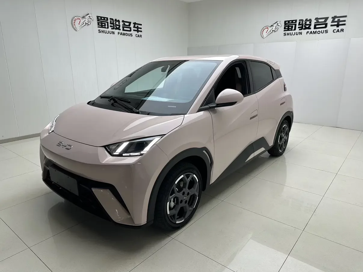 BYD seagull