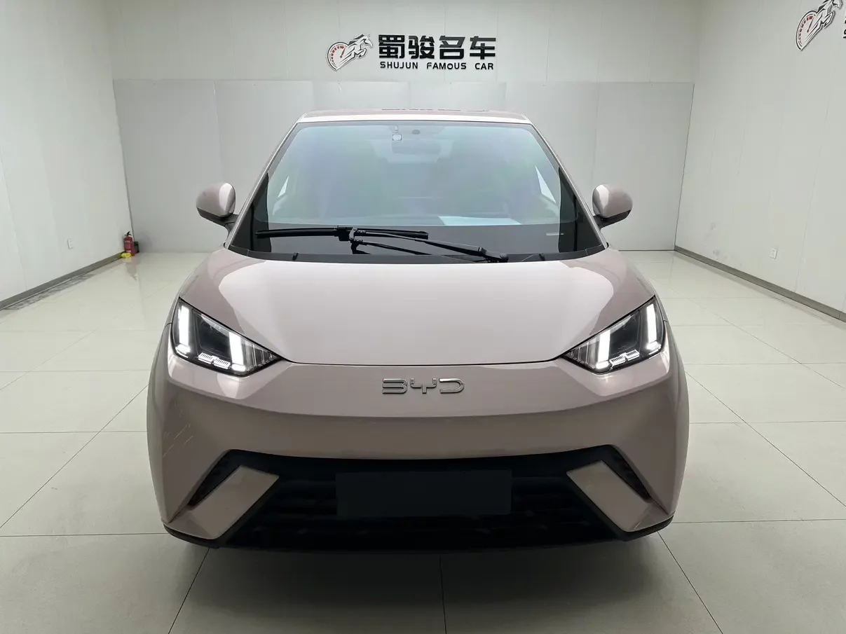 BYD seagull