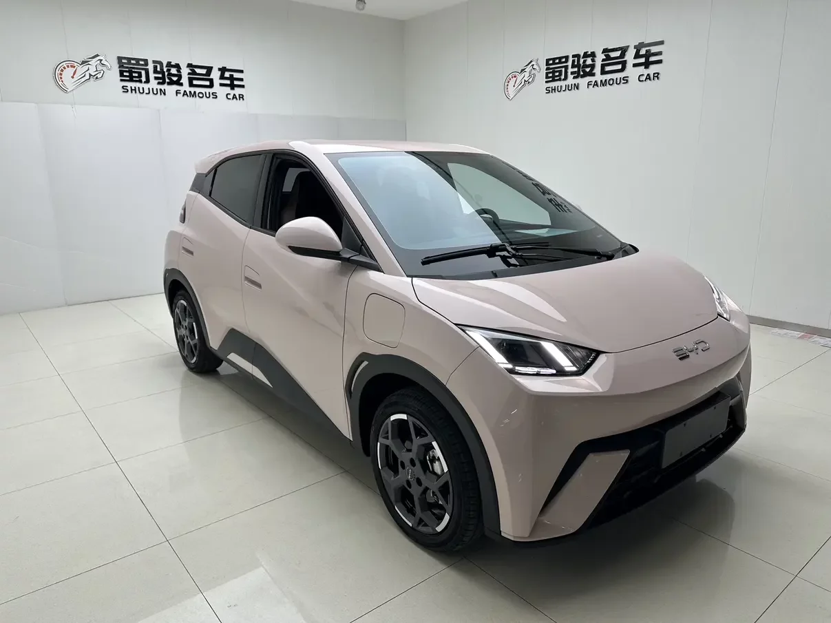 BYD seagull