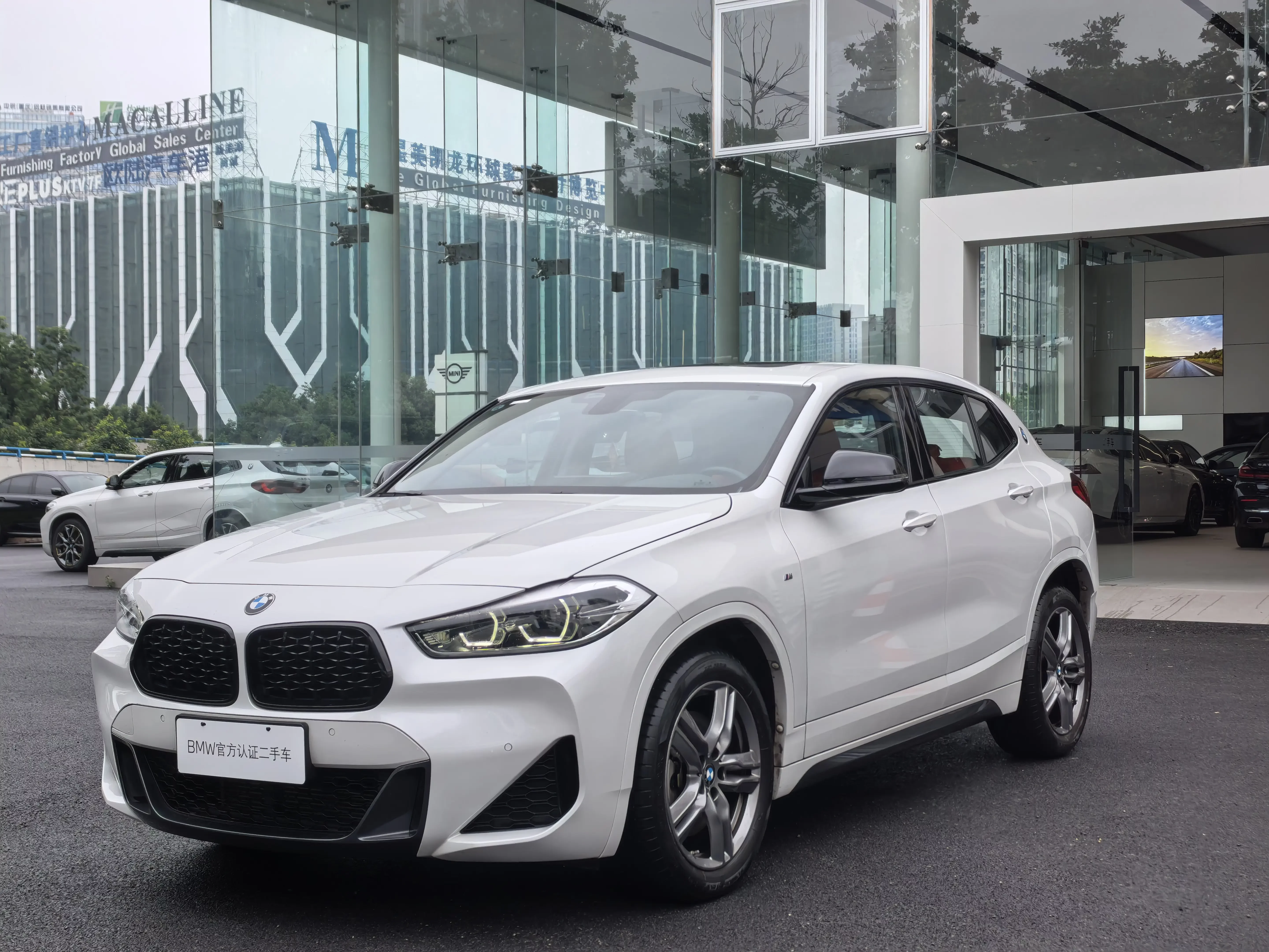 BMW X2