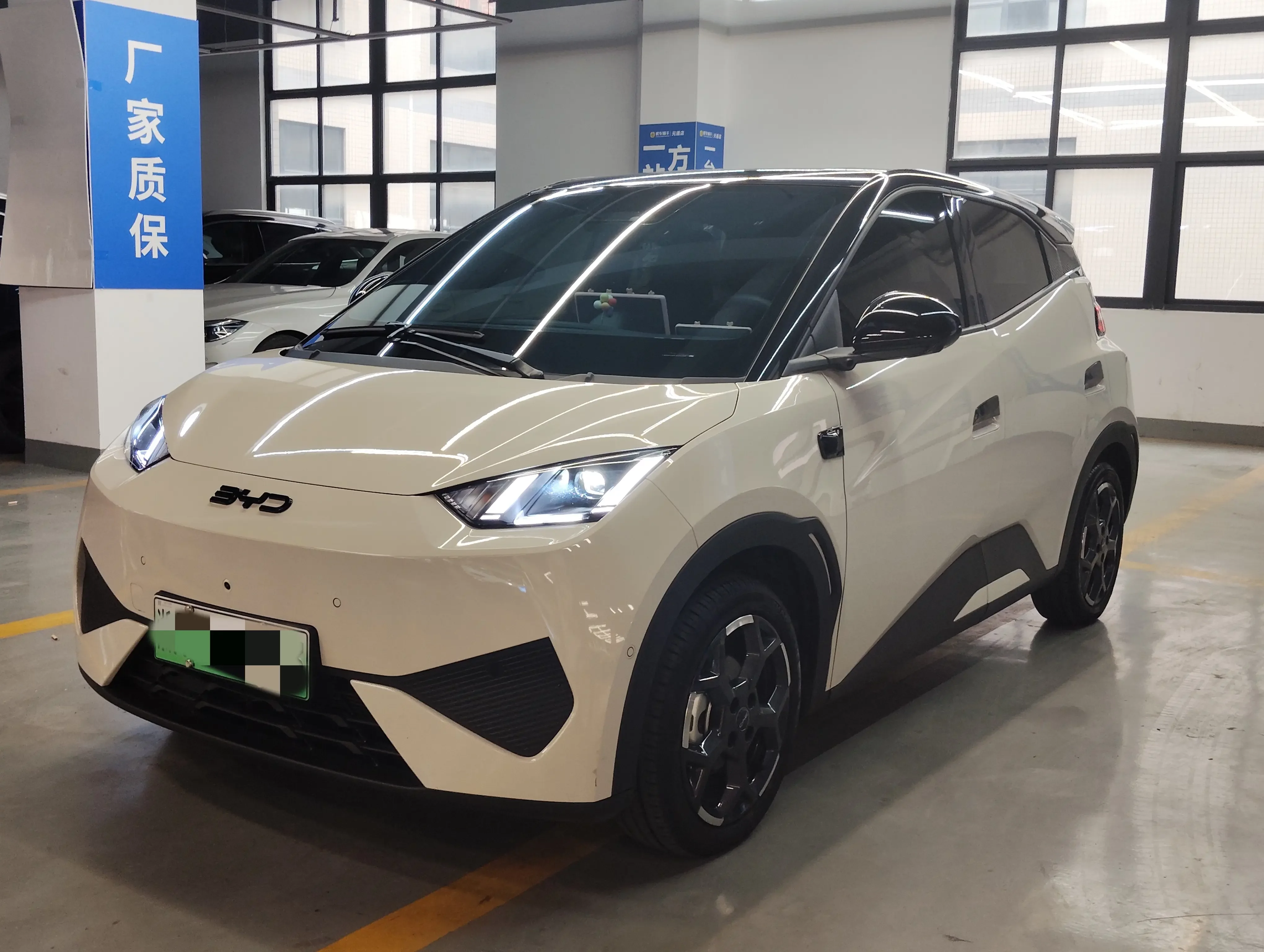 BYD seagull